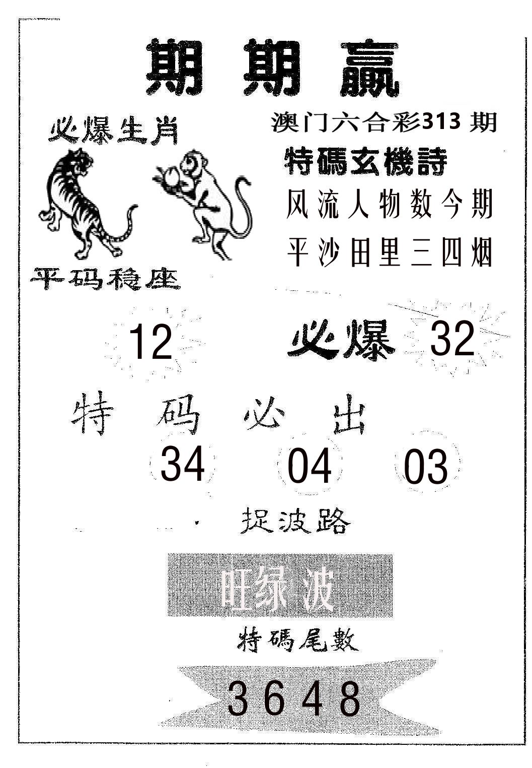 期期赢 第313期