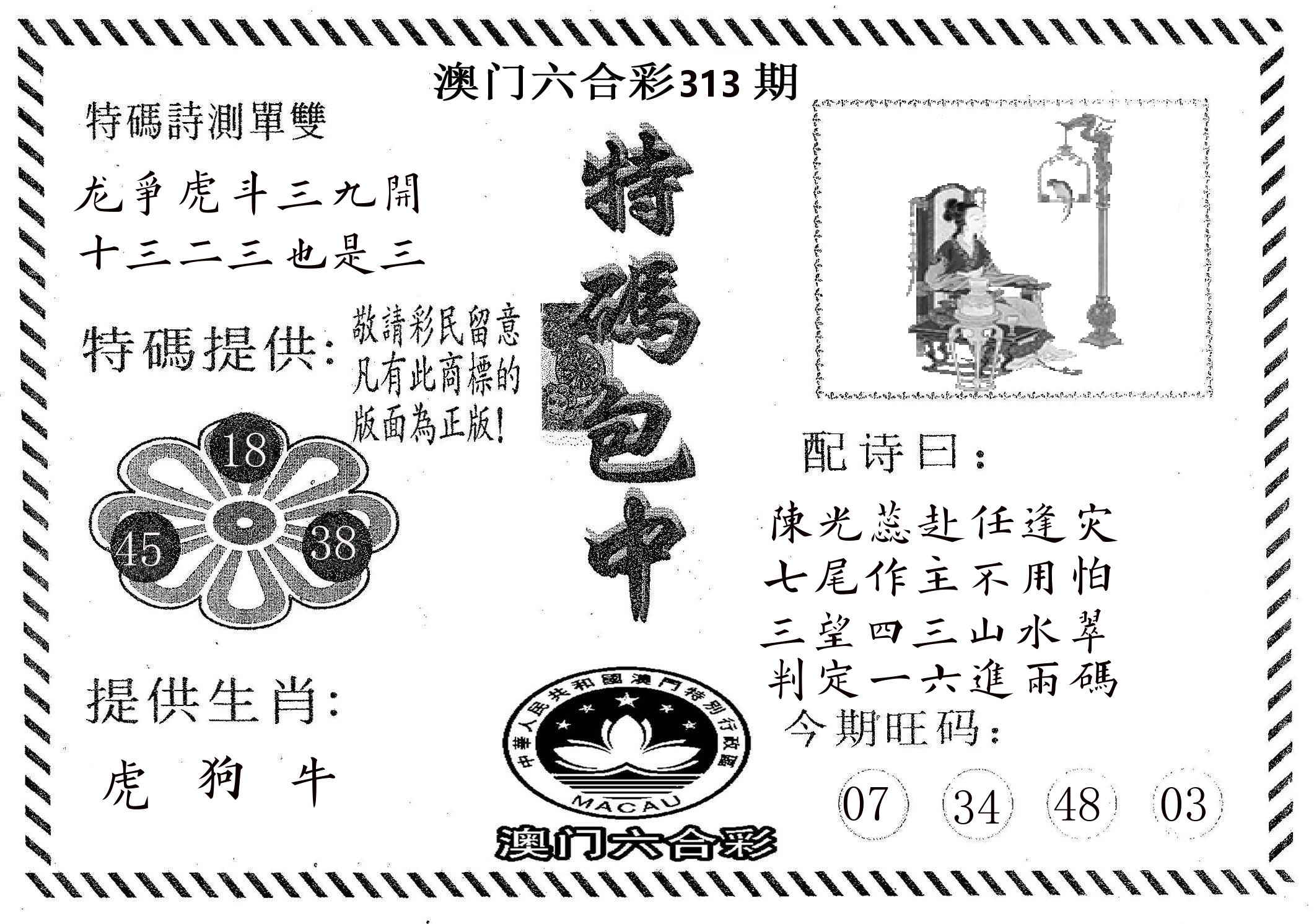 特码包中 第313期