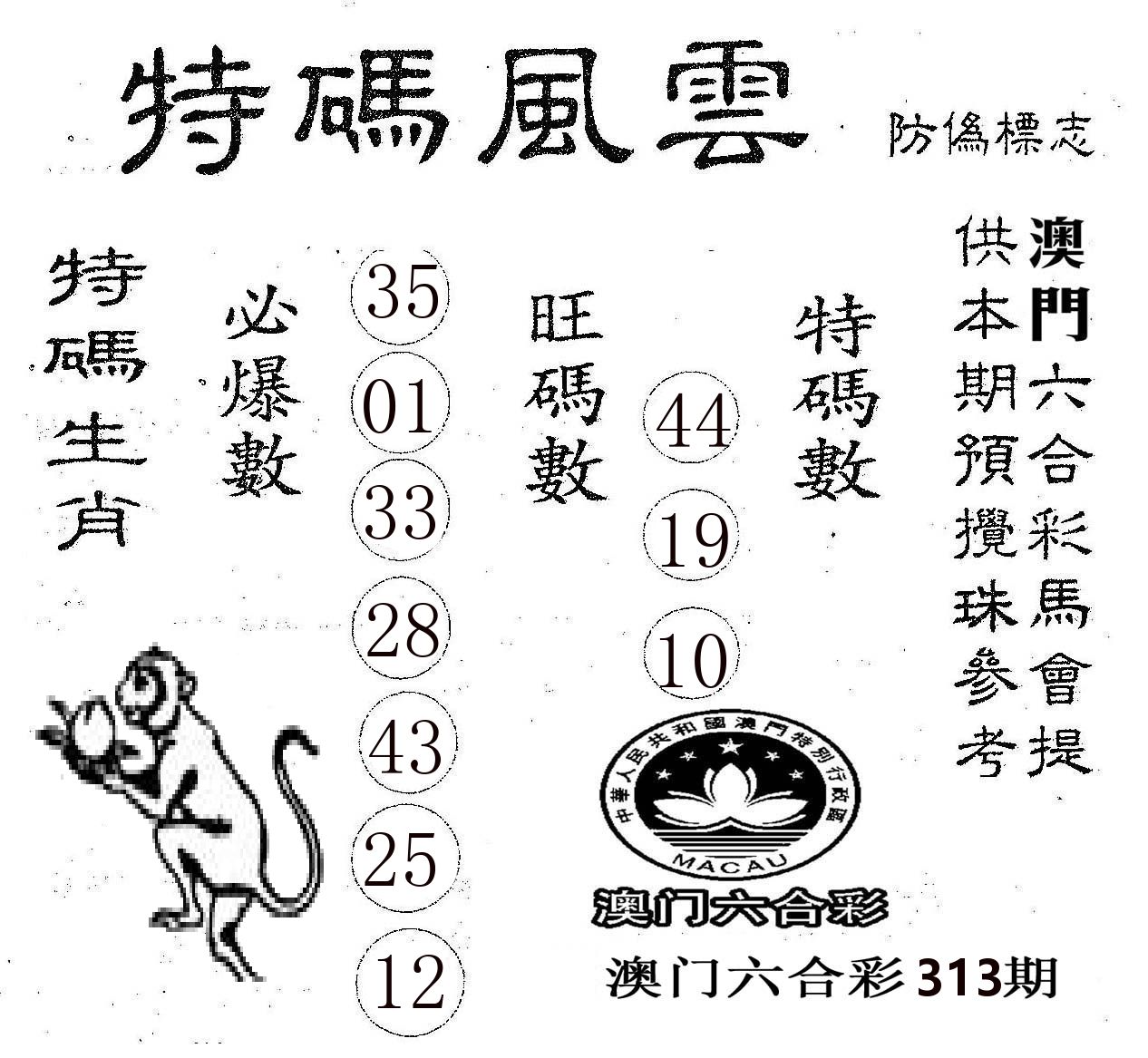特码风云 第313期