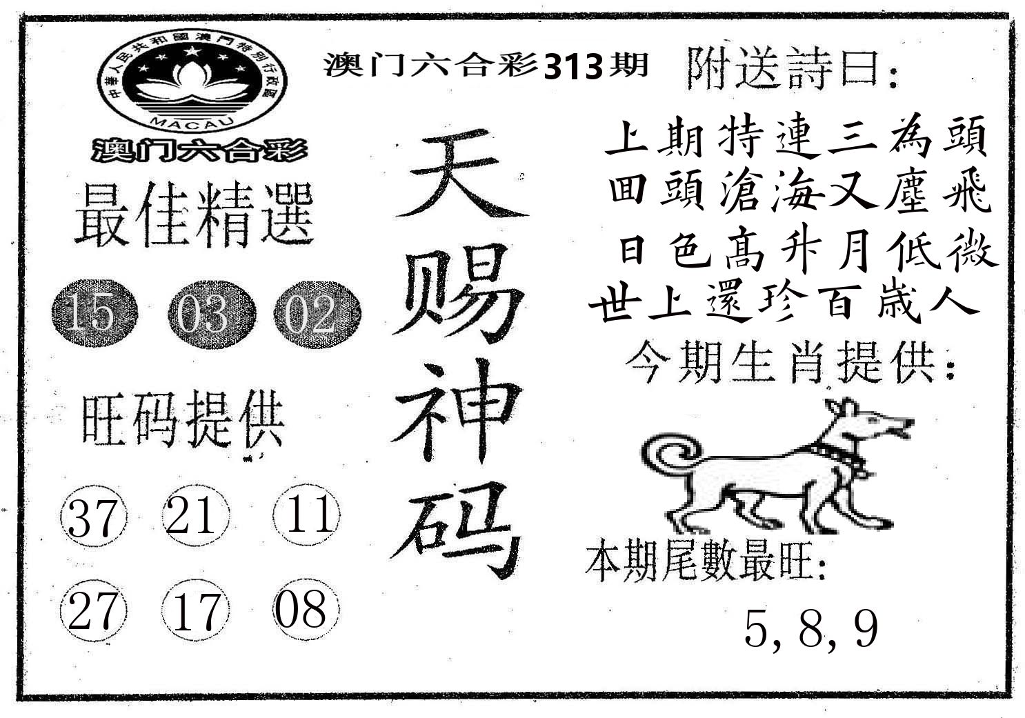 天赐神码 第313期