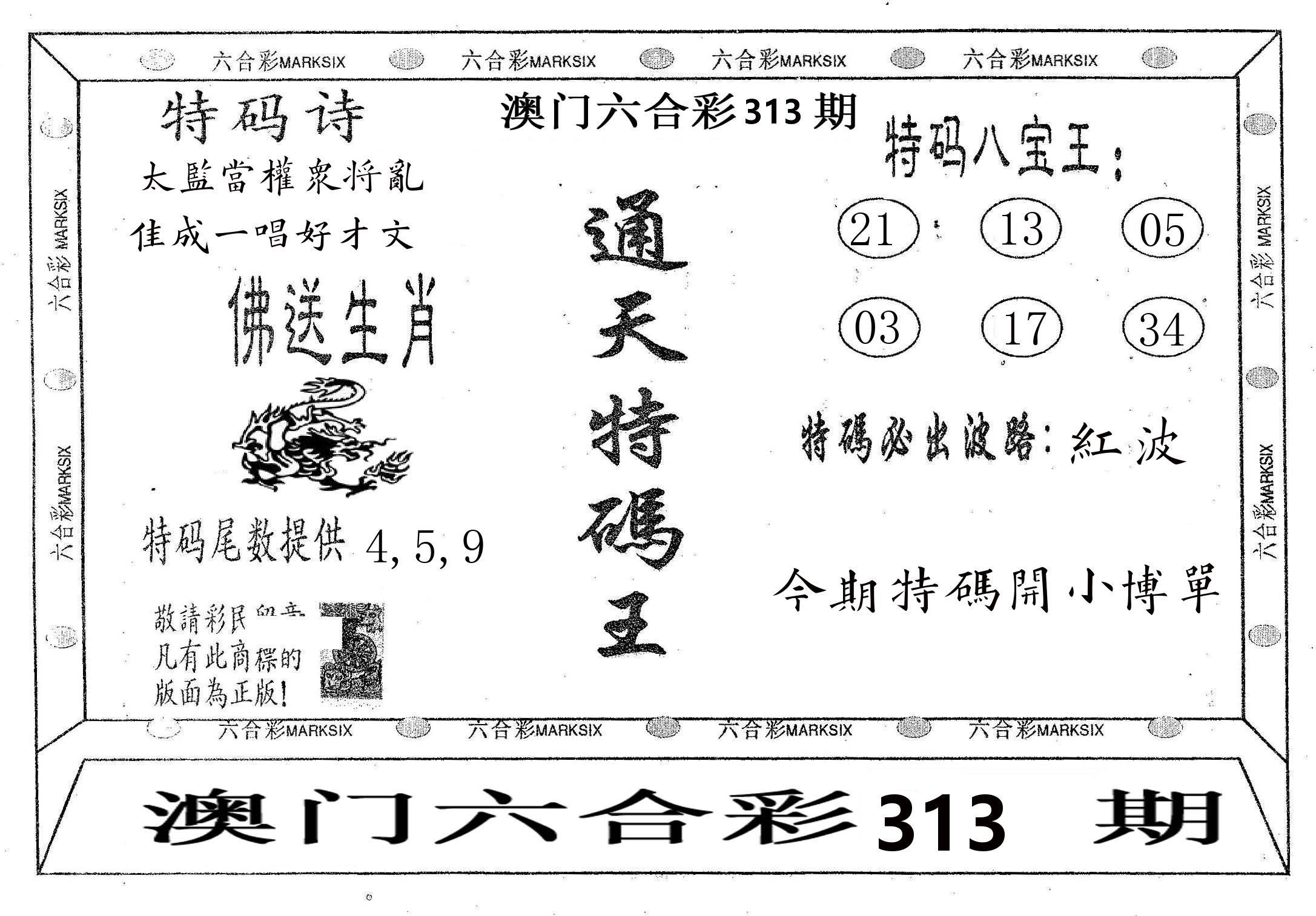 通天特码王 第313期
