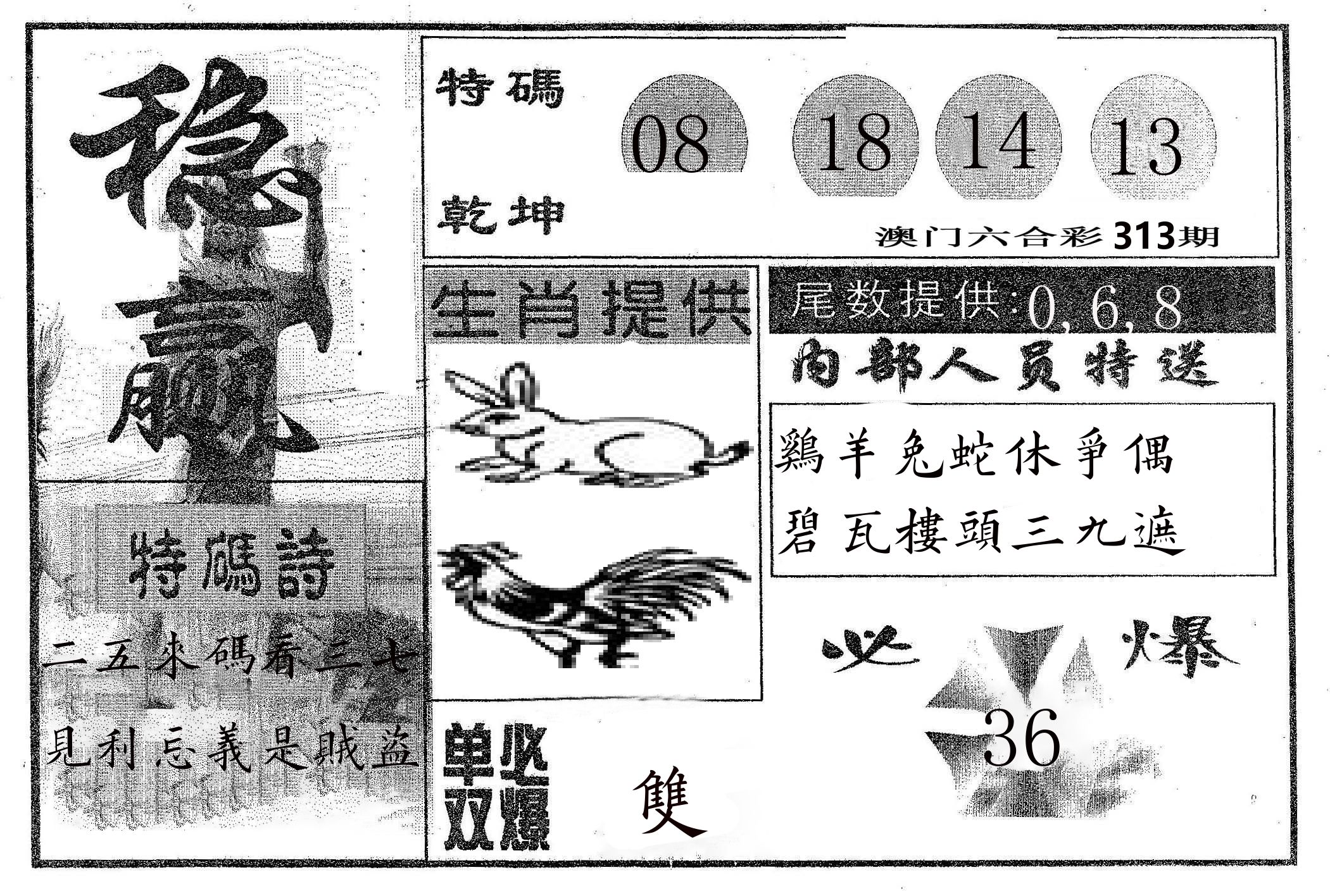 稳赢 第313期