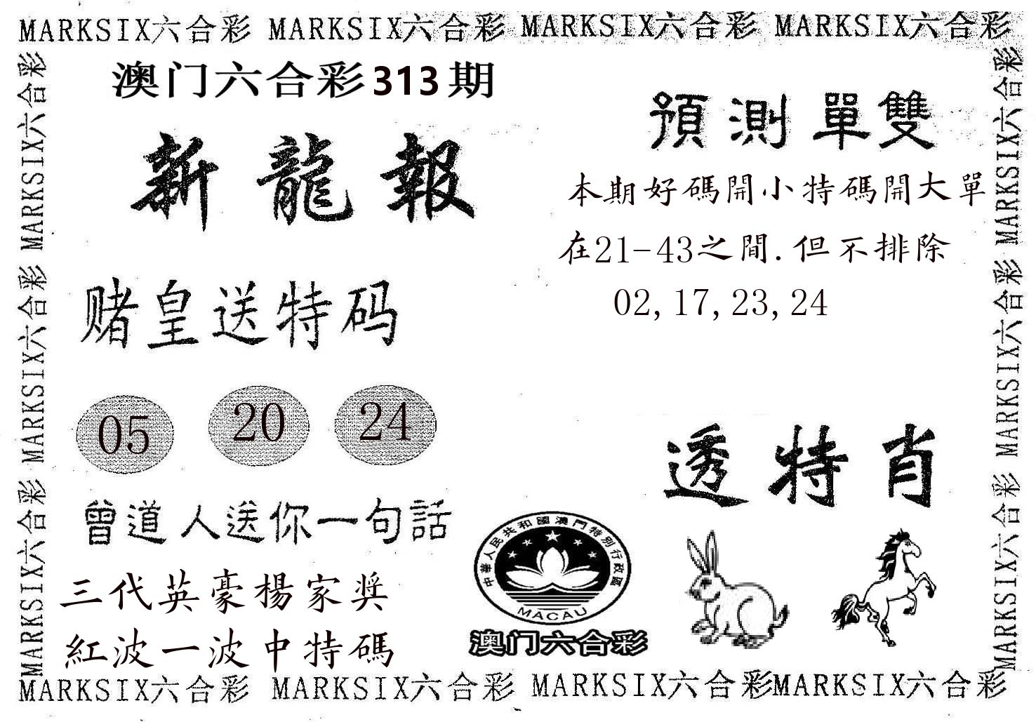 新龙报 第313期