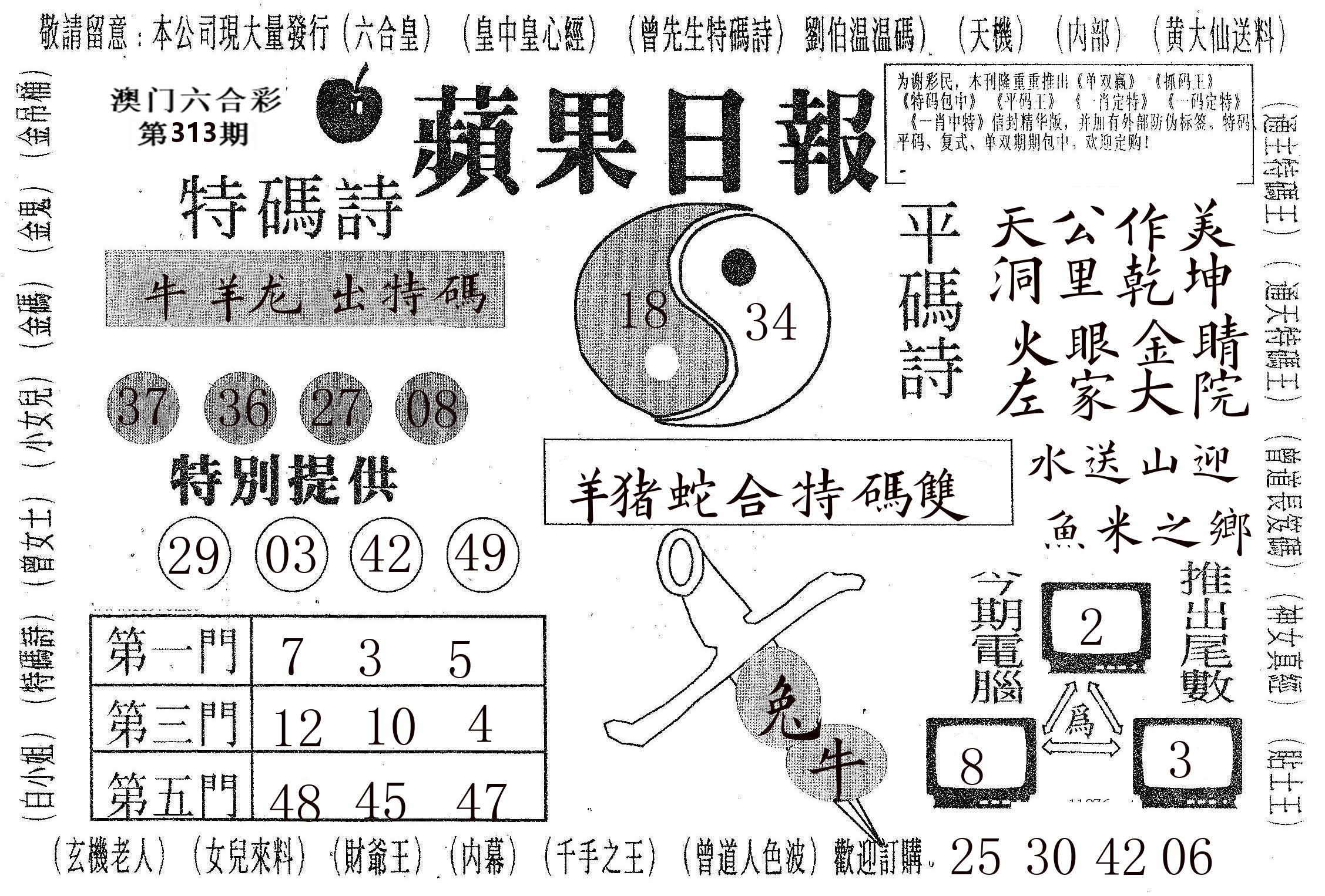 新苹果日报 第313期