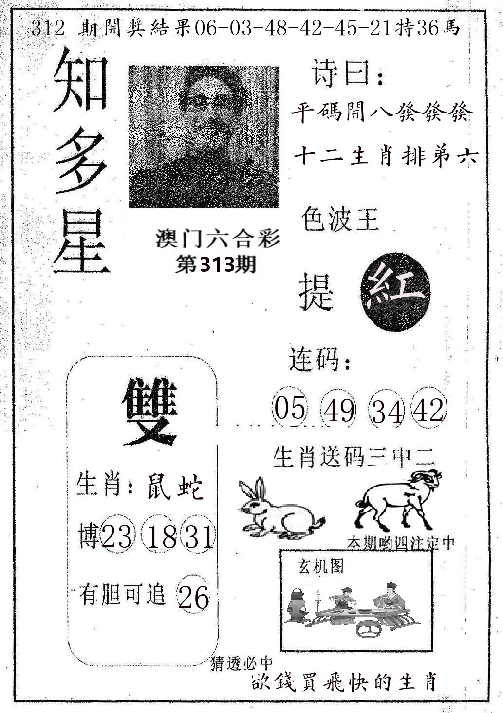 知多星 第313期