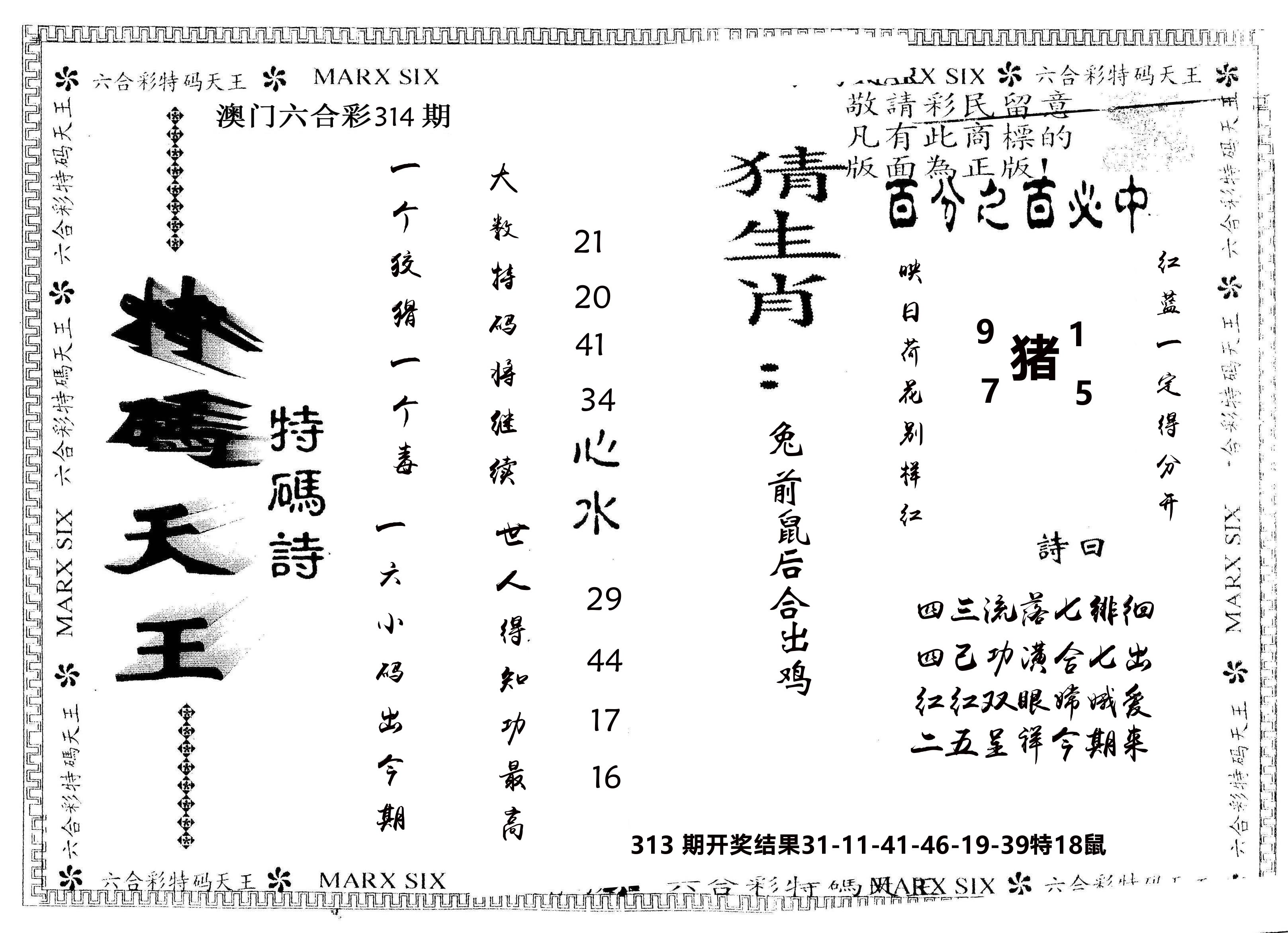 另版特码天王 第314期