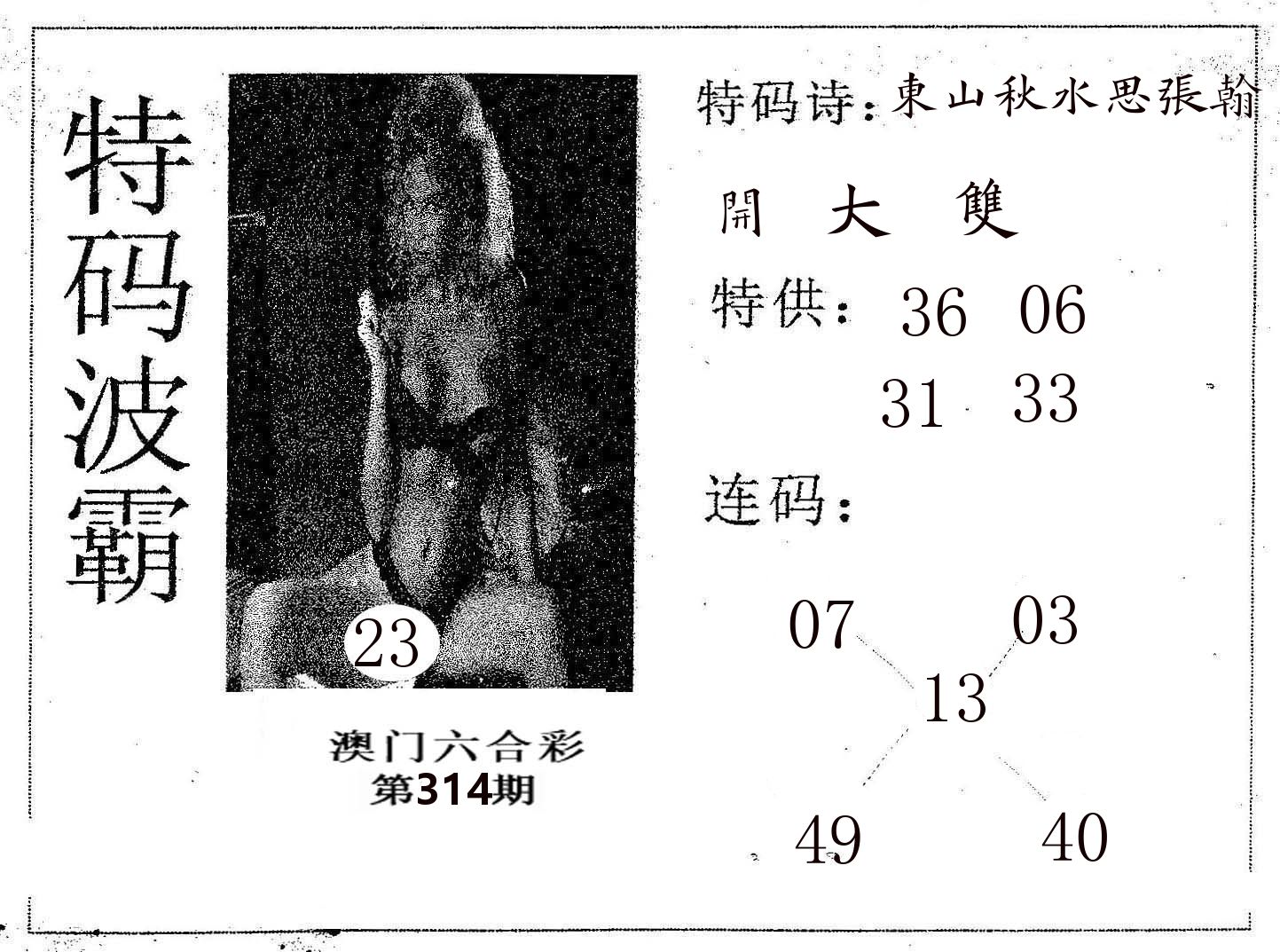 特码波霸 第314期
