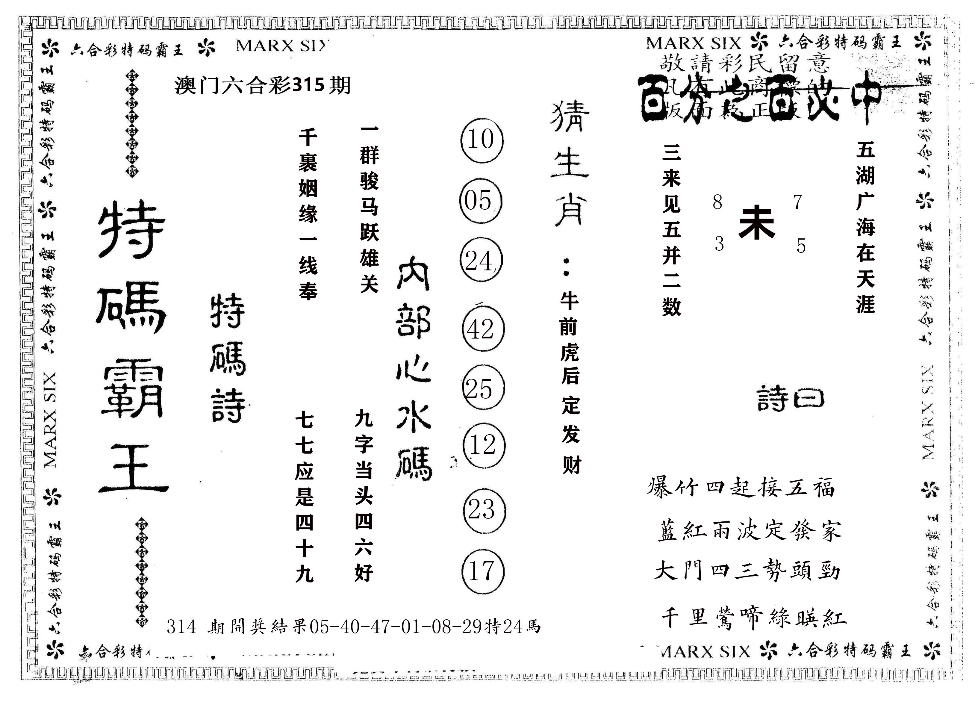 另版特码霸王 第315期