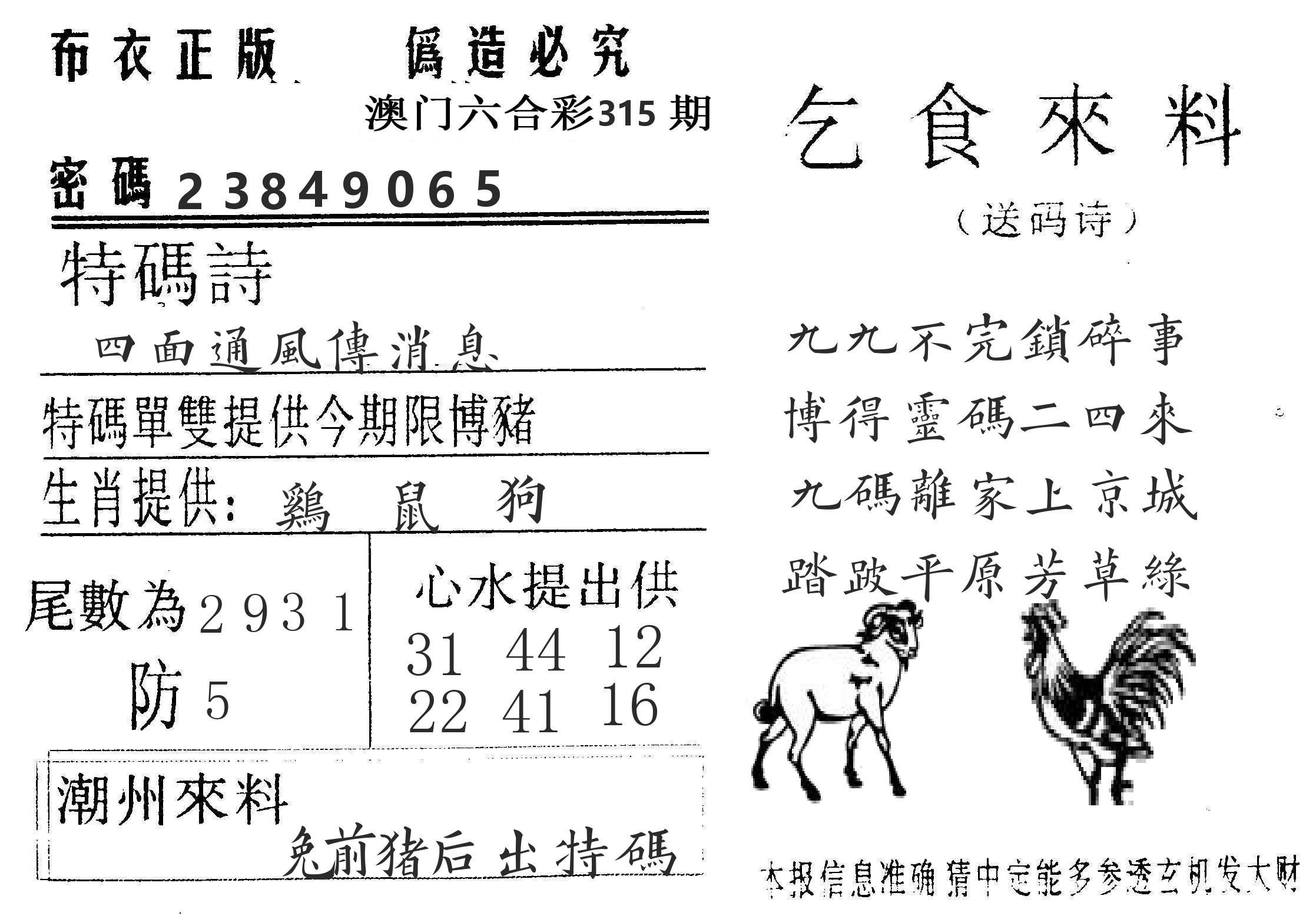 千禧码王 第315期