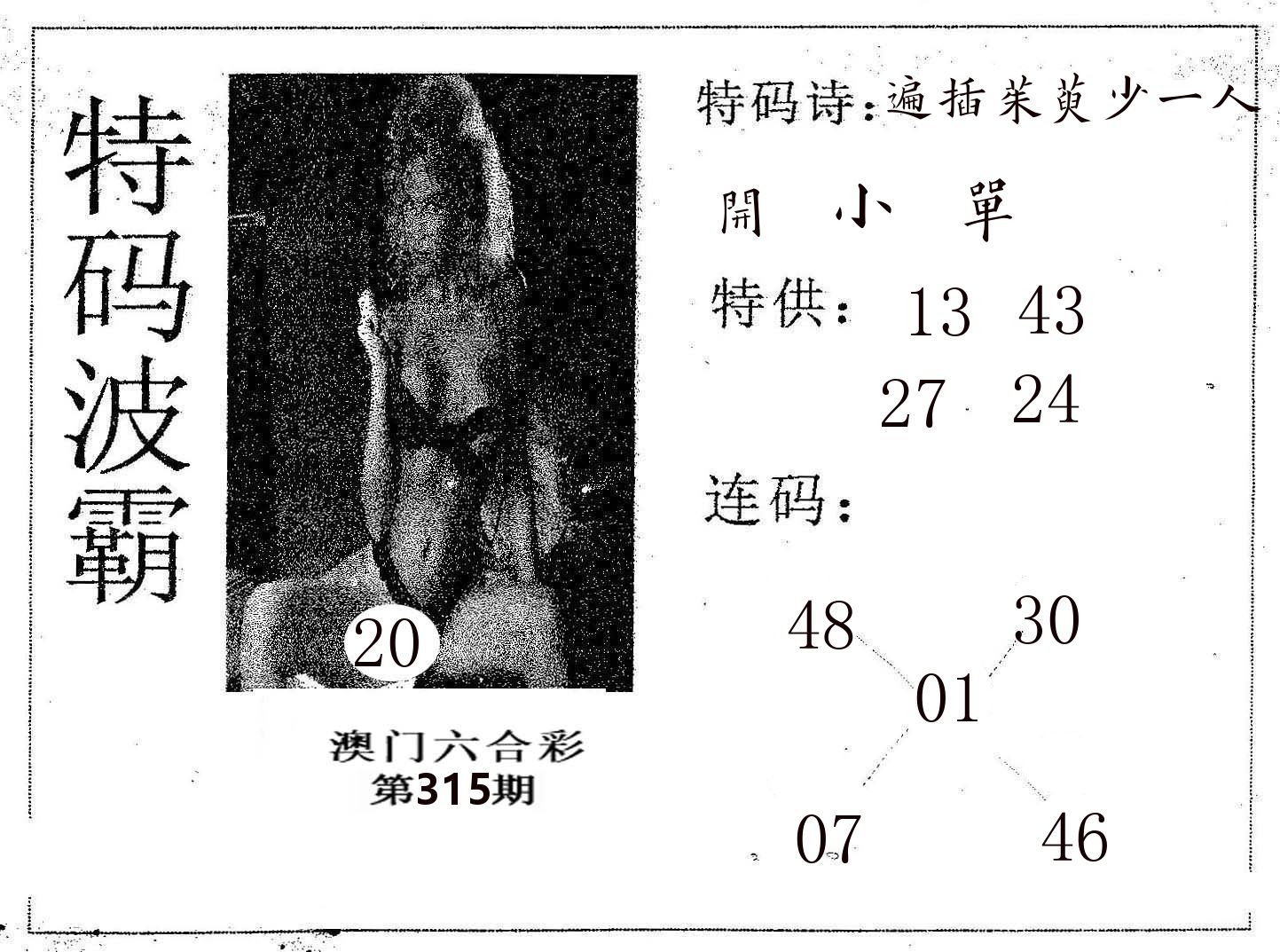 特码波霸 第315期