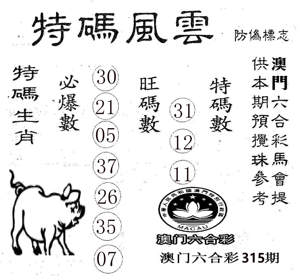 特码风云 第315期