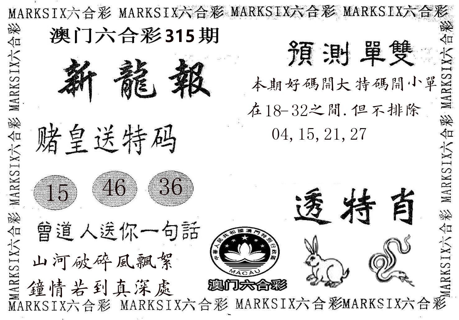 新龙报 第315期