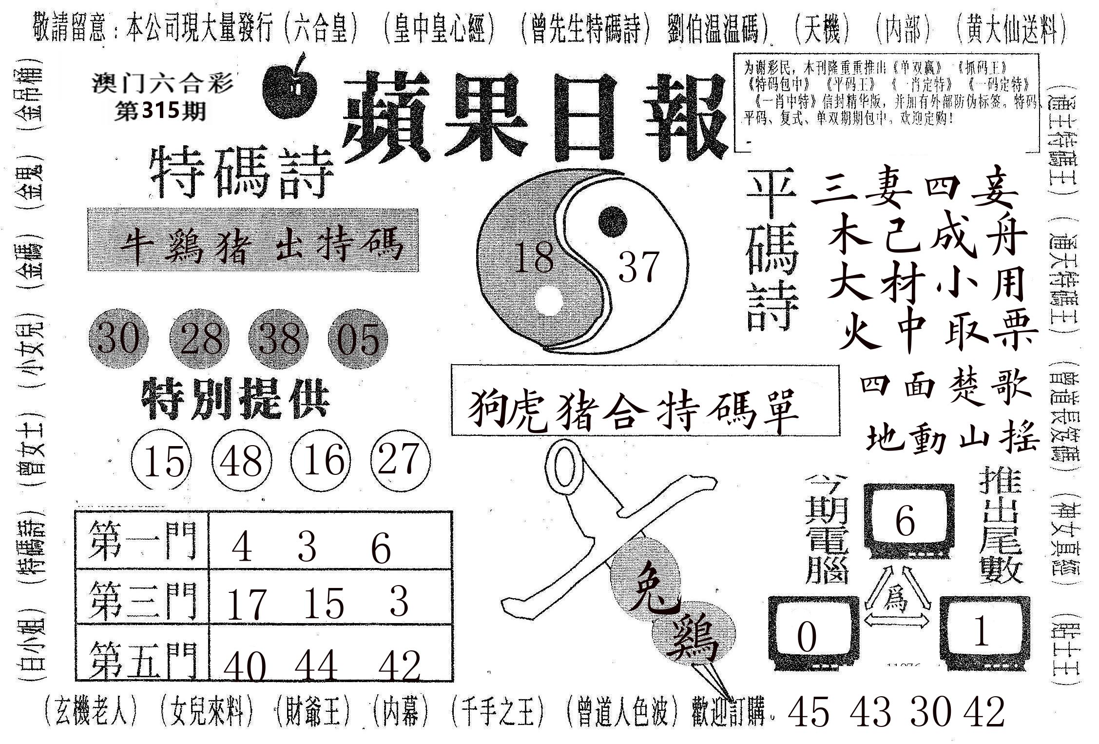 新苹果日报 第315期