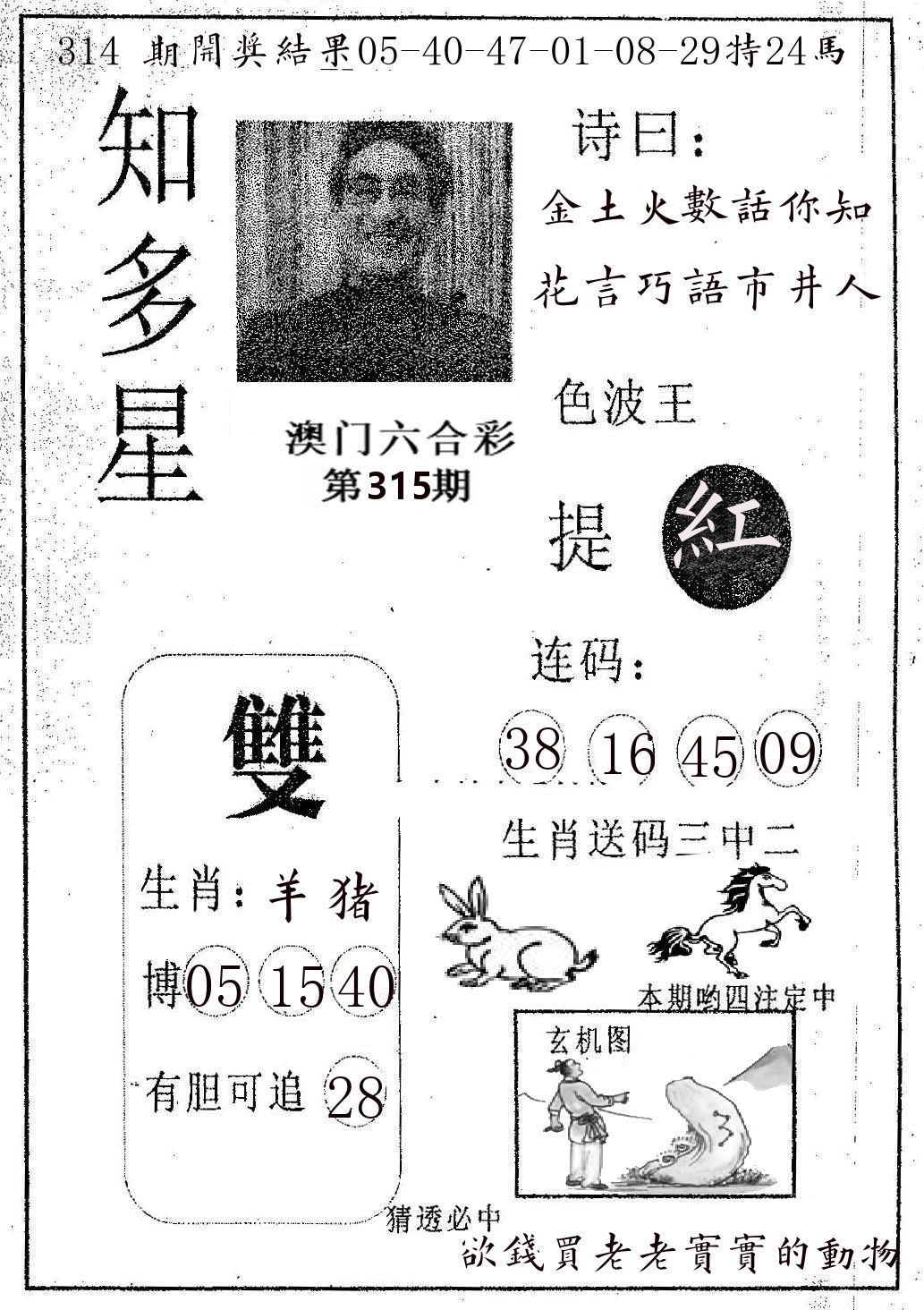 知多星 第315期