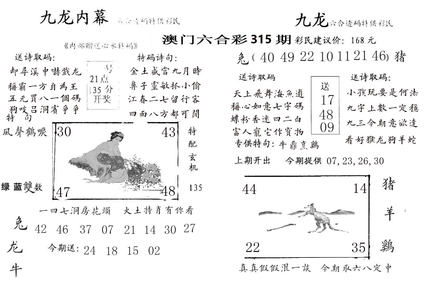 九龙内幕 第315期