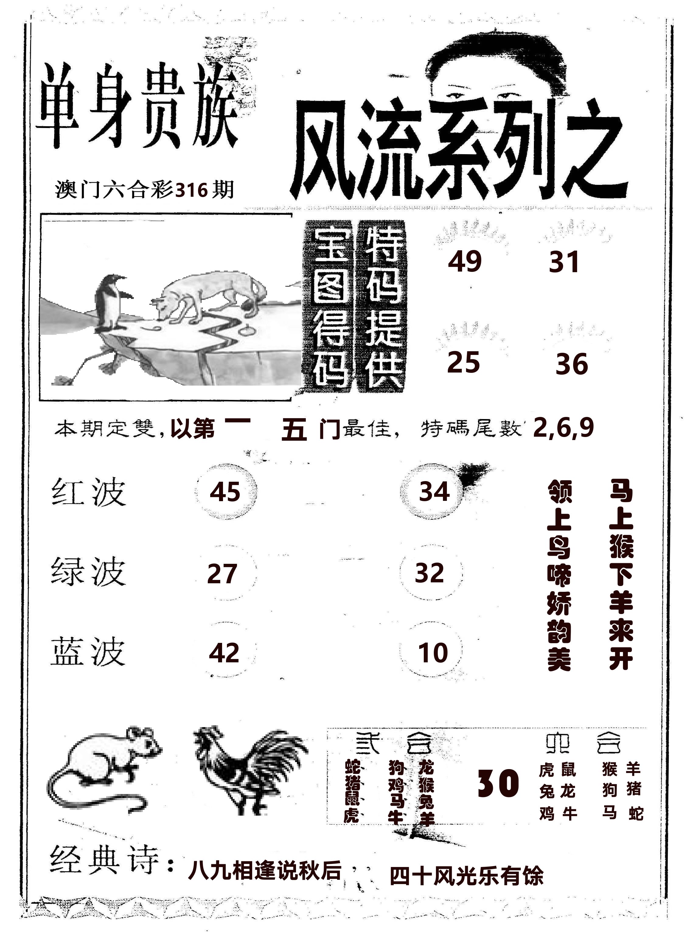 风流系列-2 第316期