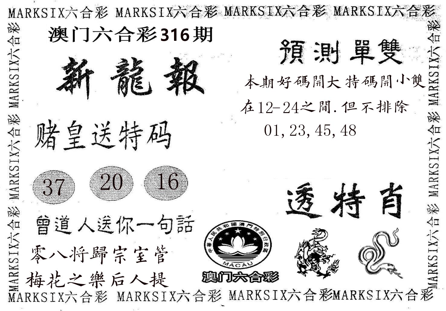 新龙报 第316期
