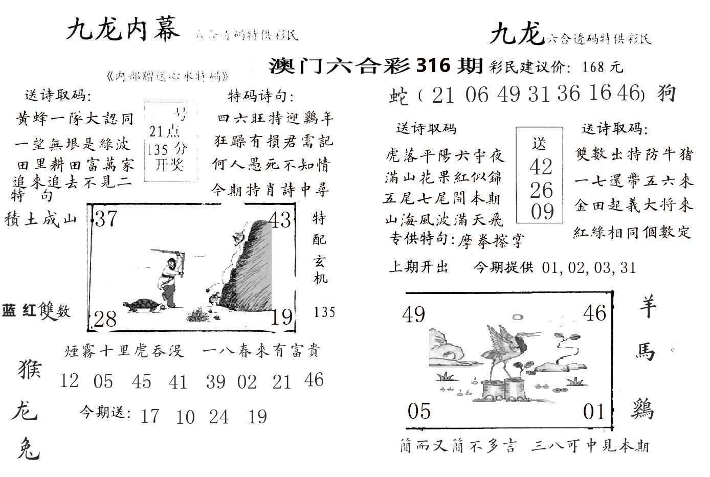 九龙内幕 第316期