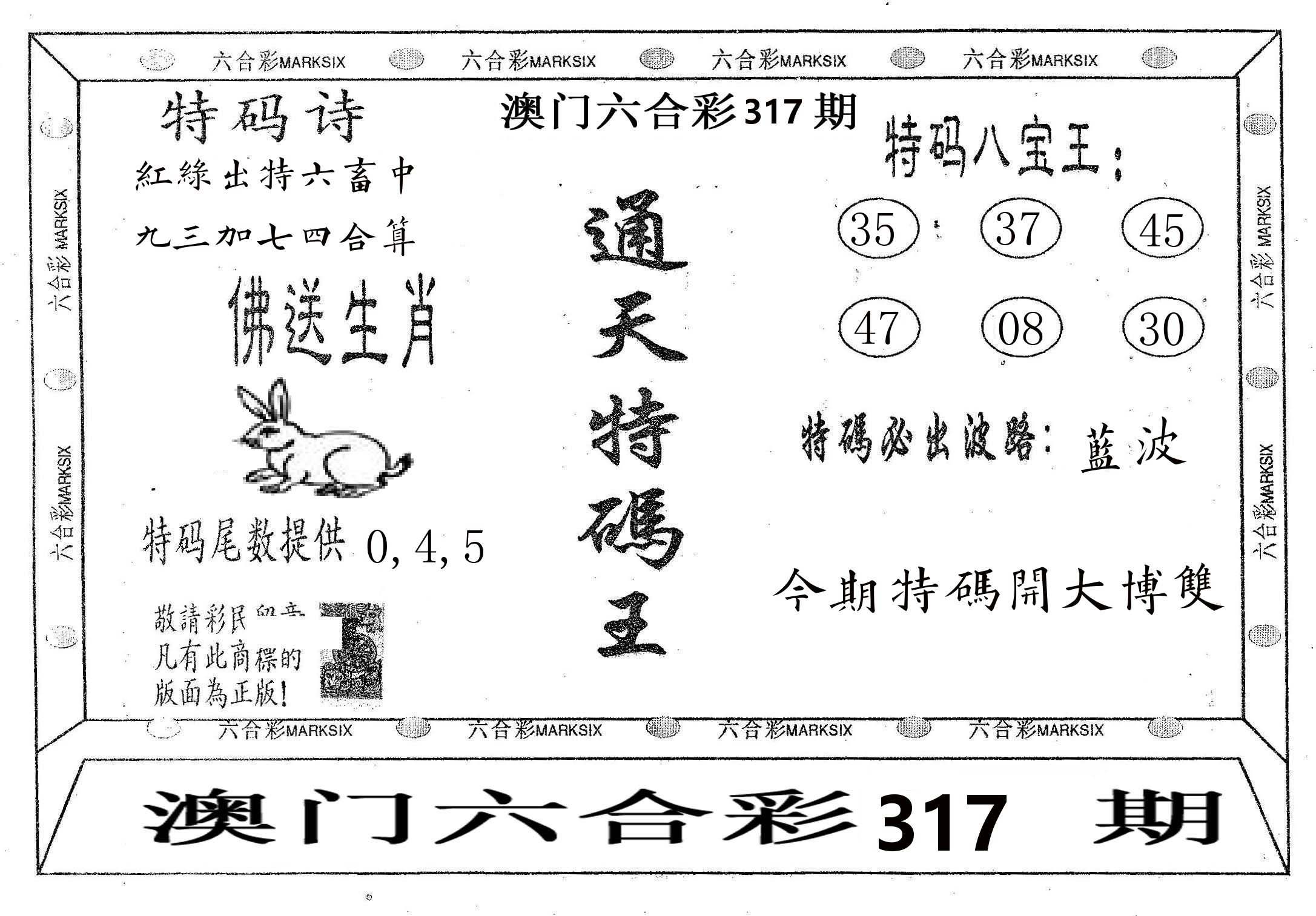 通天特码王 第317期