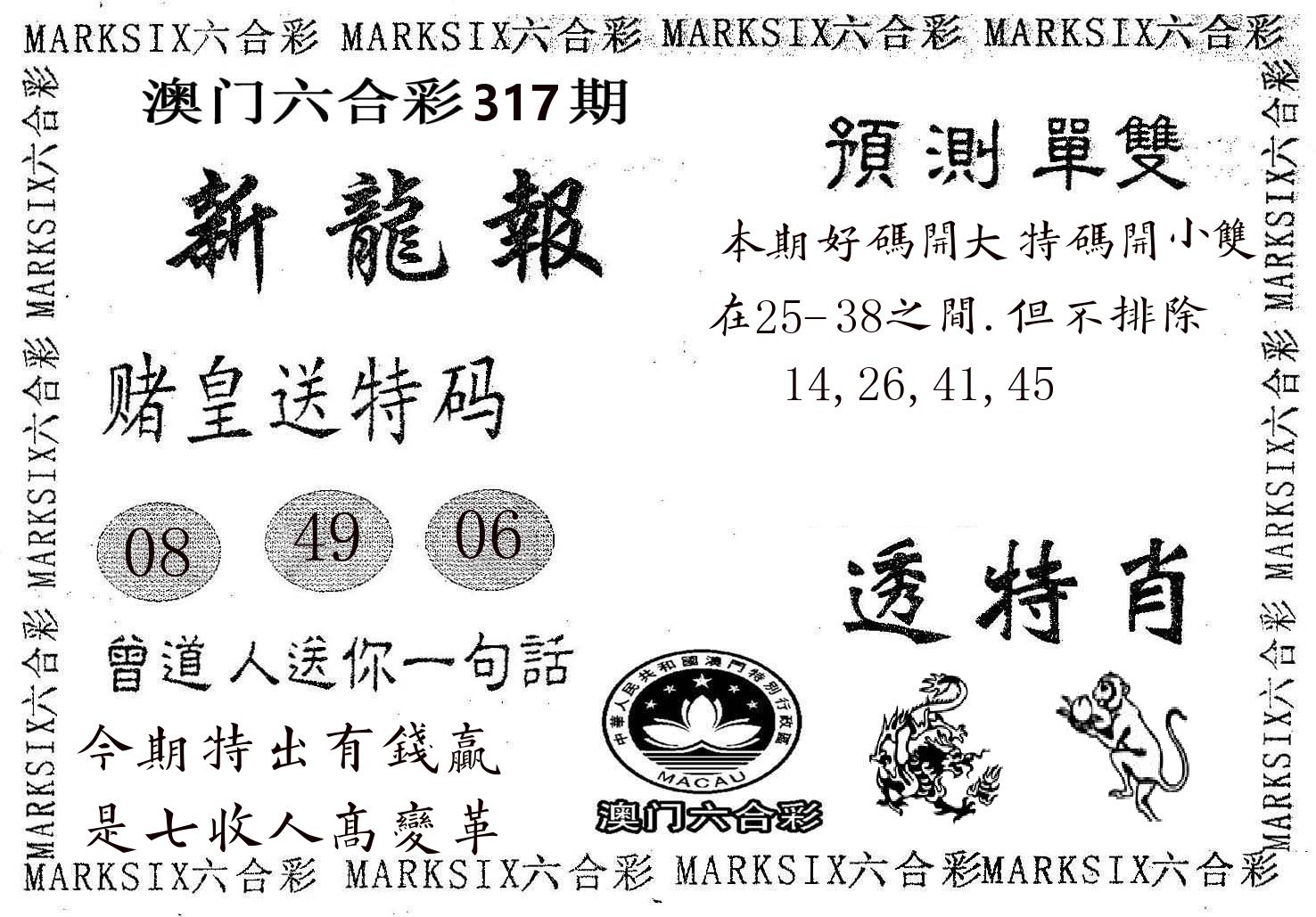 新龙报 第317期