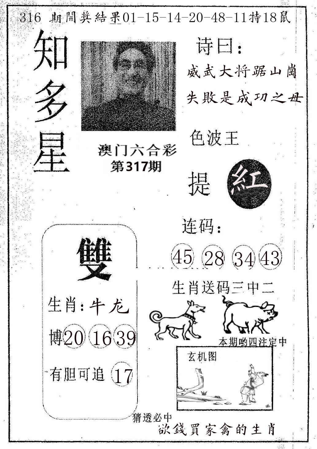 知多星 第317期