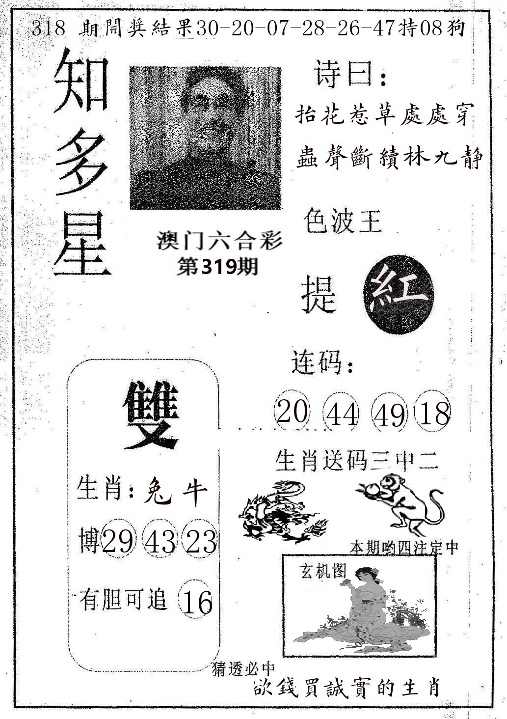 知多星 第319期