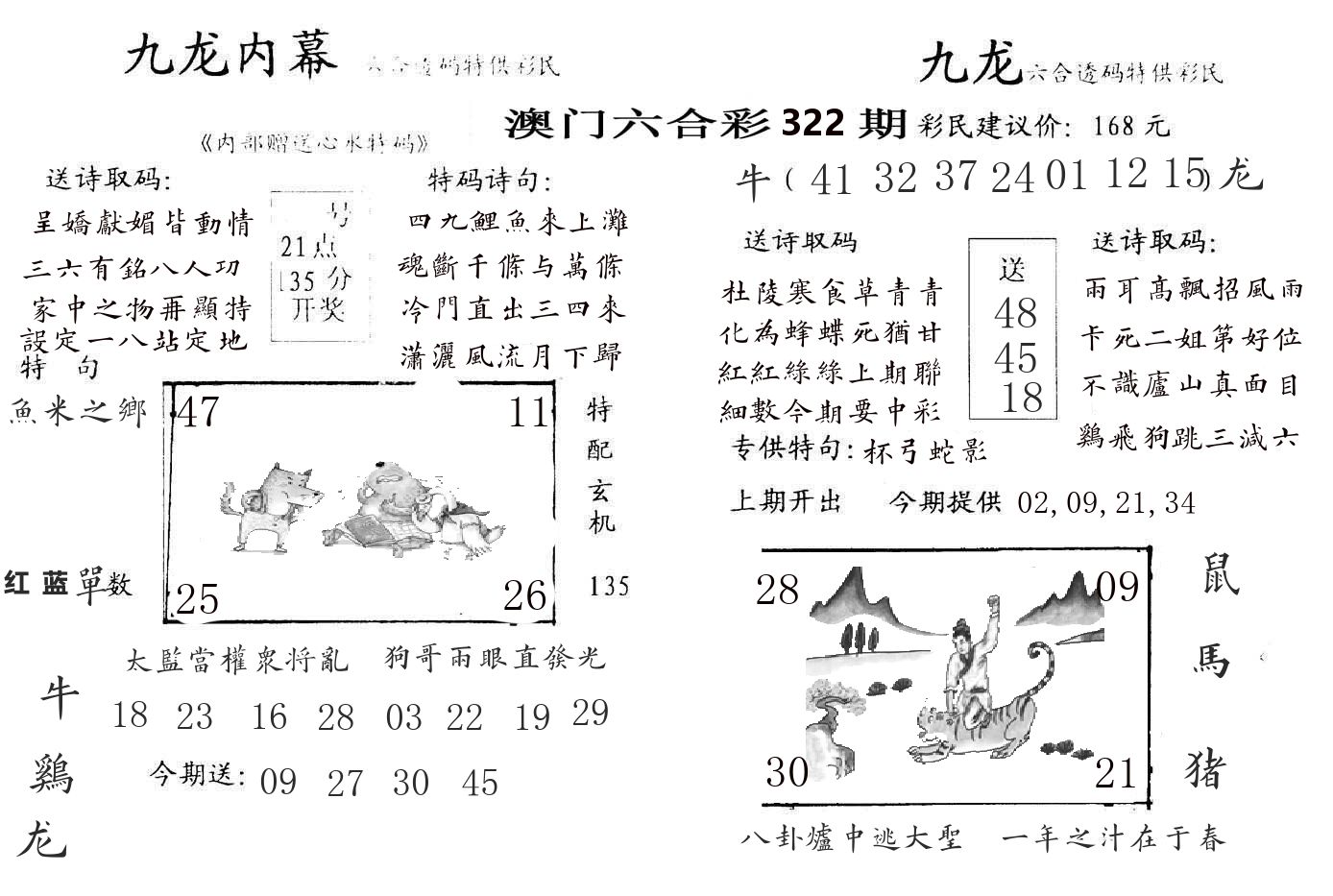 九龙内幕 第322期