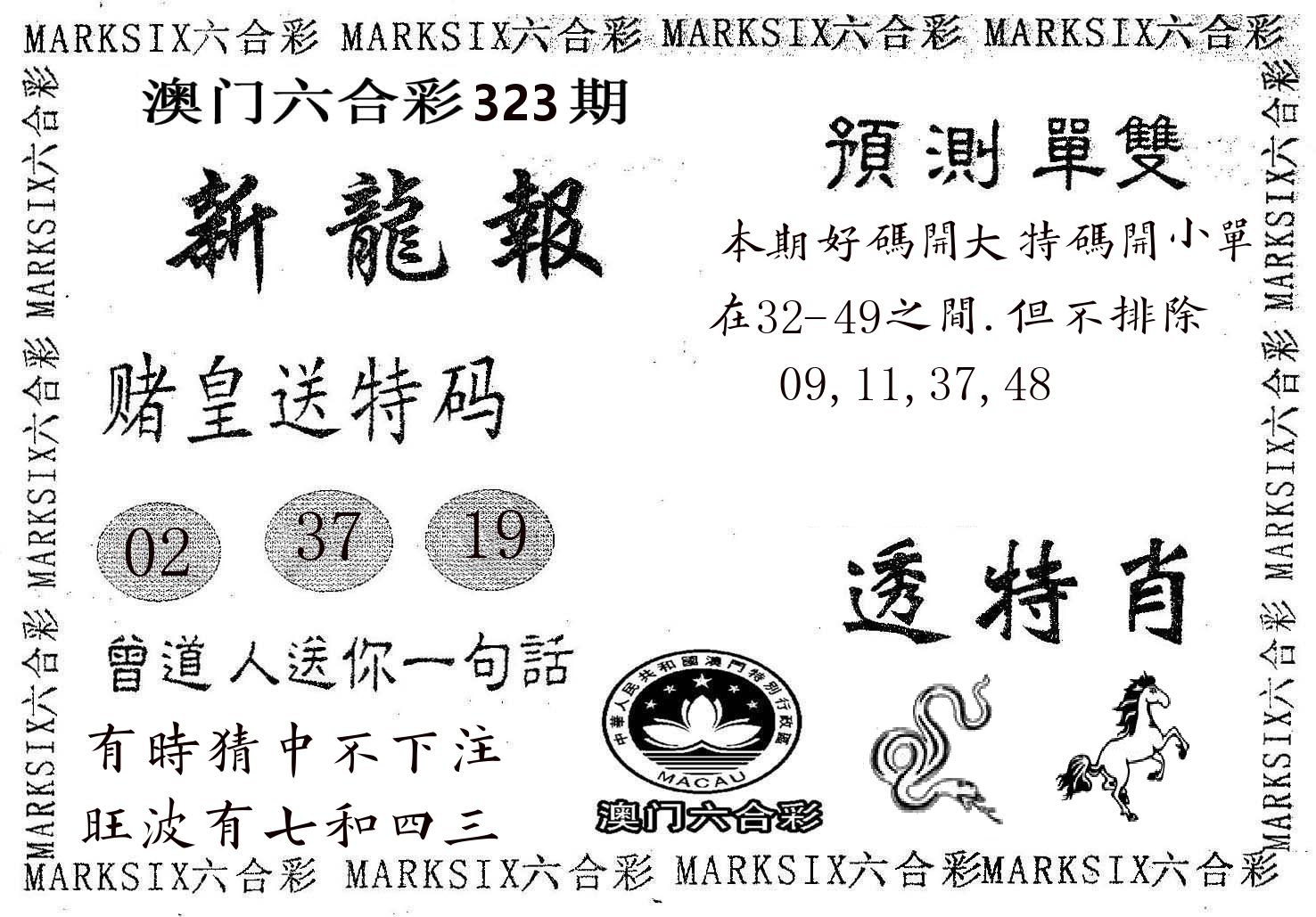 新龙报 第323期
