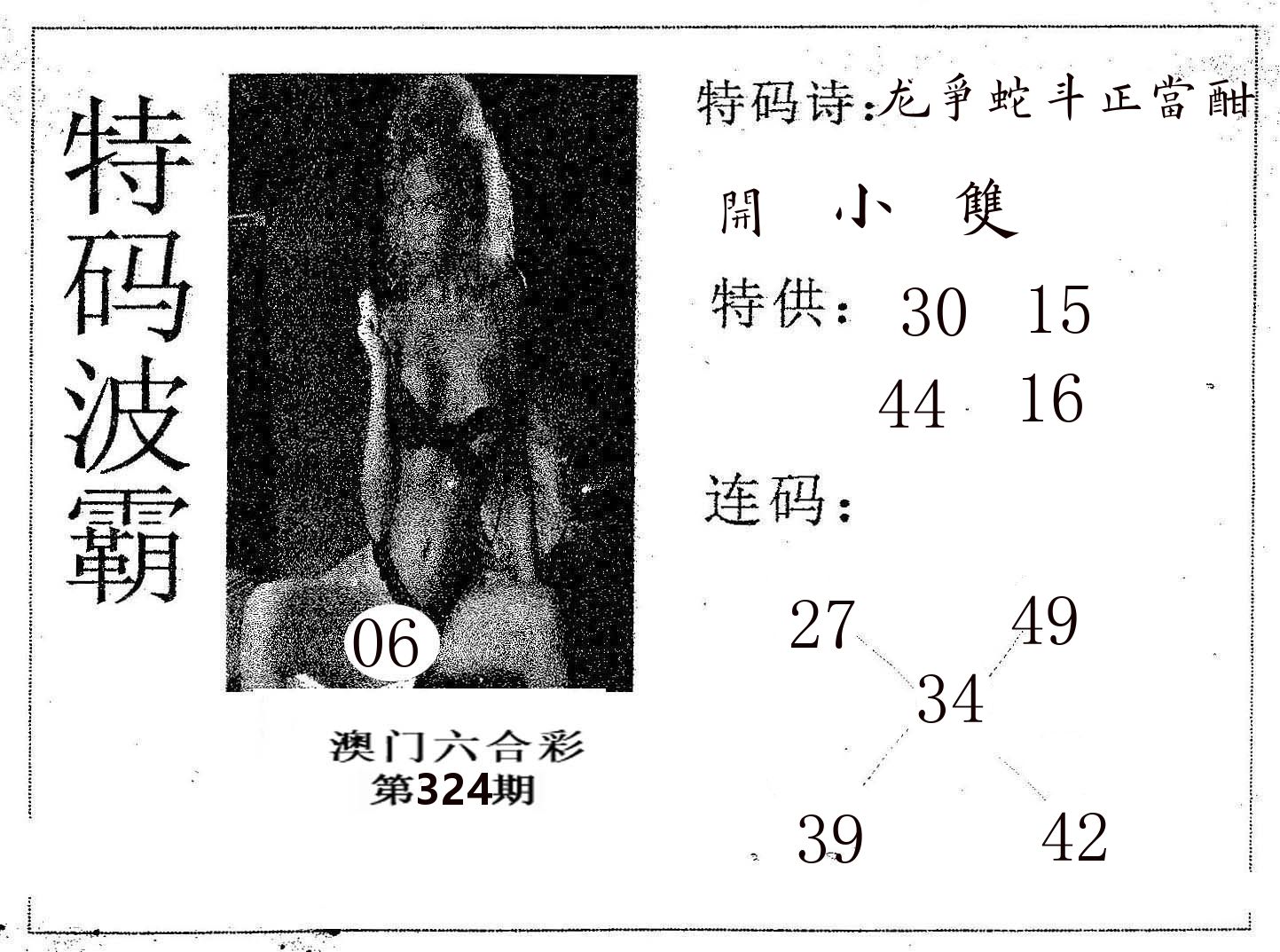 特码波霸 第324期