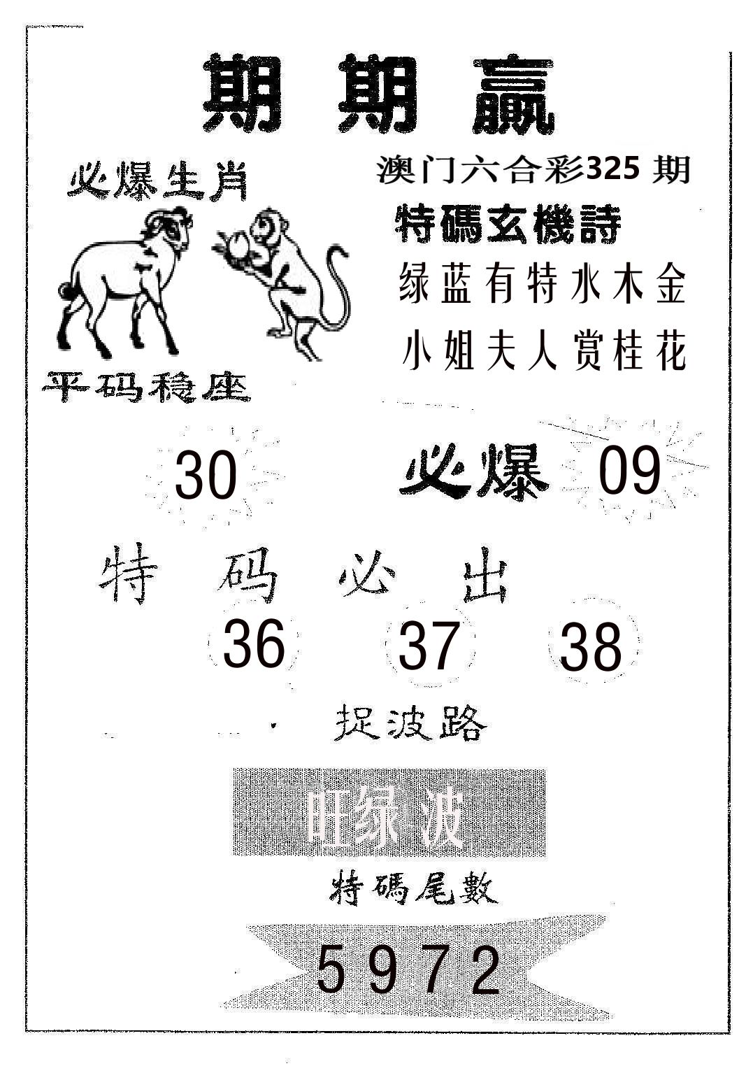 期期赢 第325期
