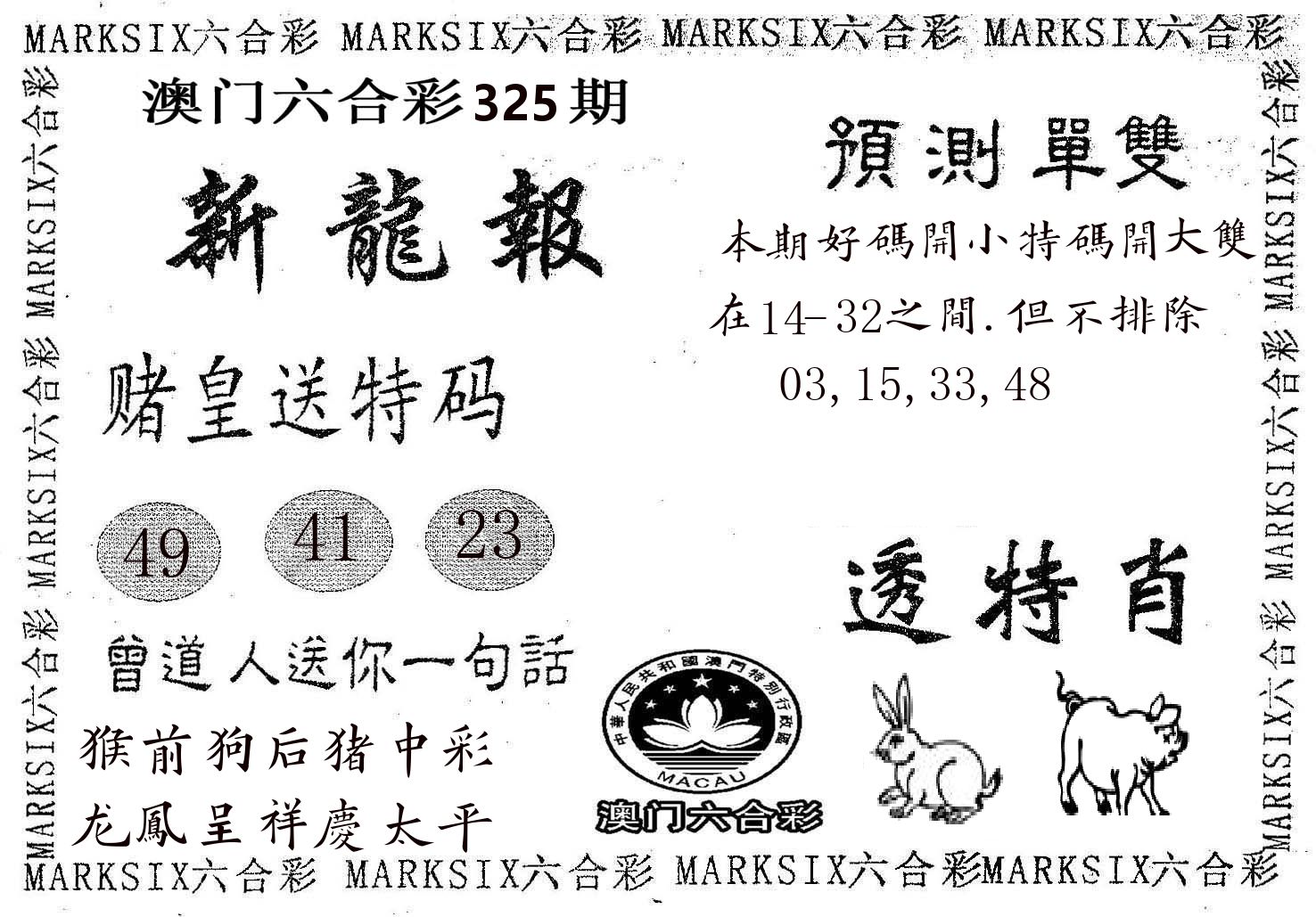 新龙报 第325期