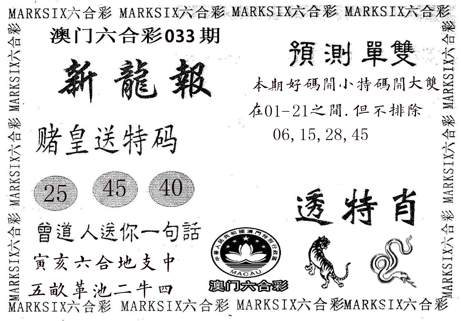 新龙报 第33期