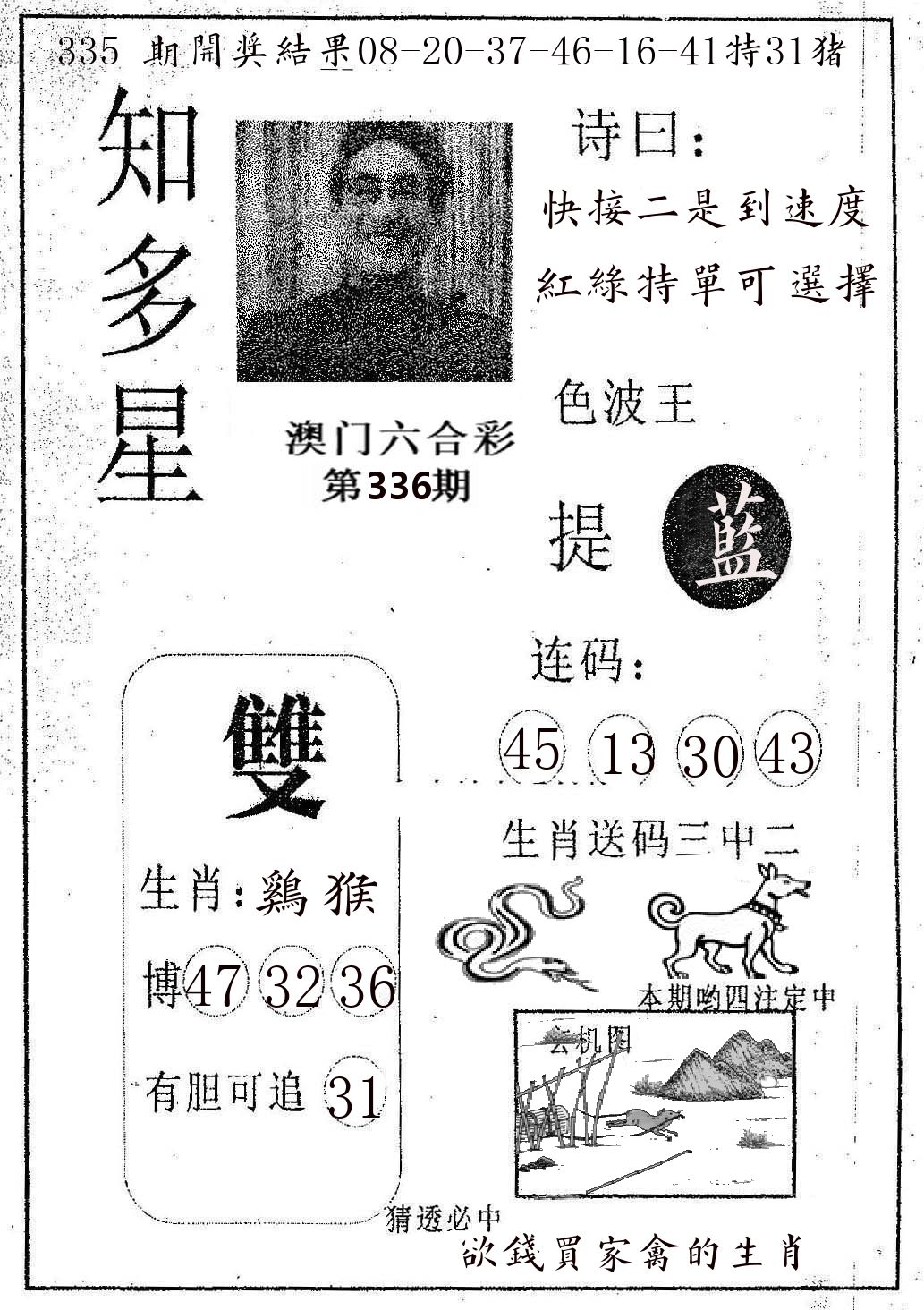 知多星 第336期
