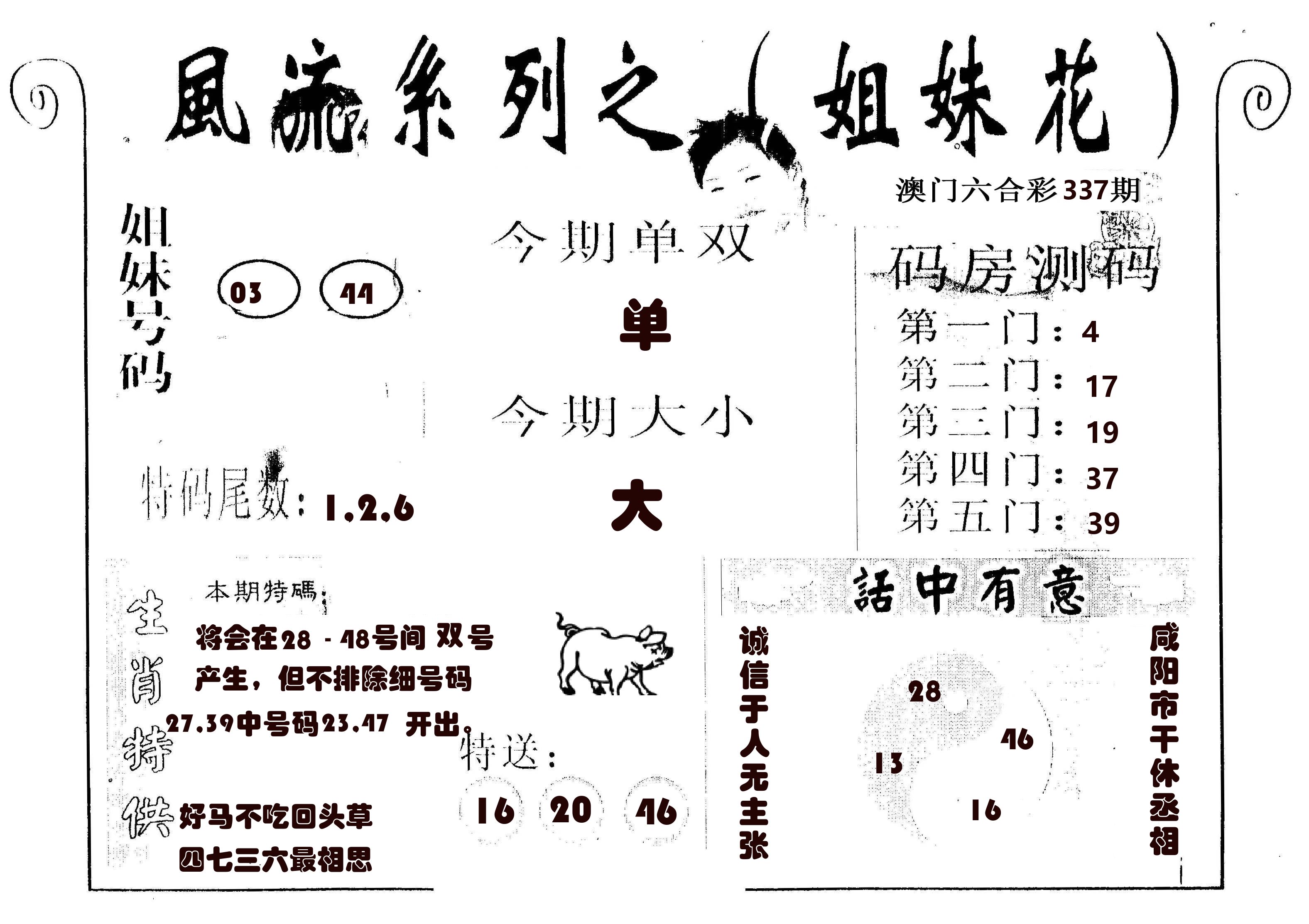 风流系列-1 第337期