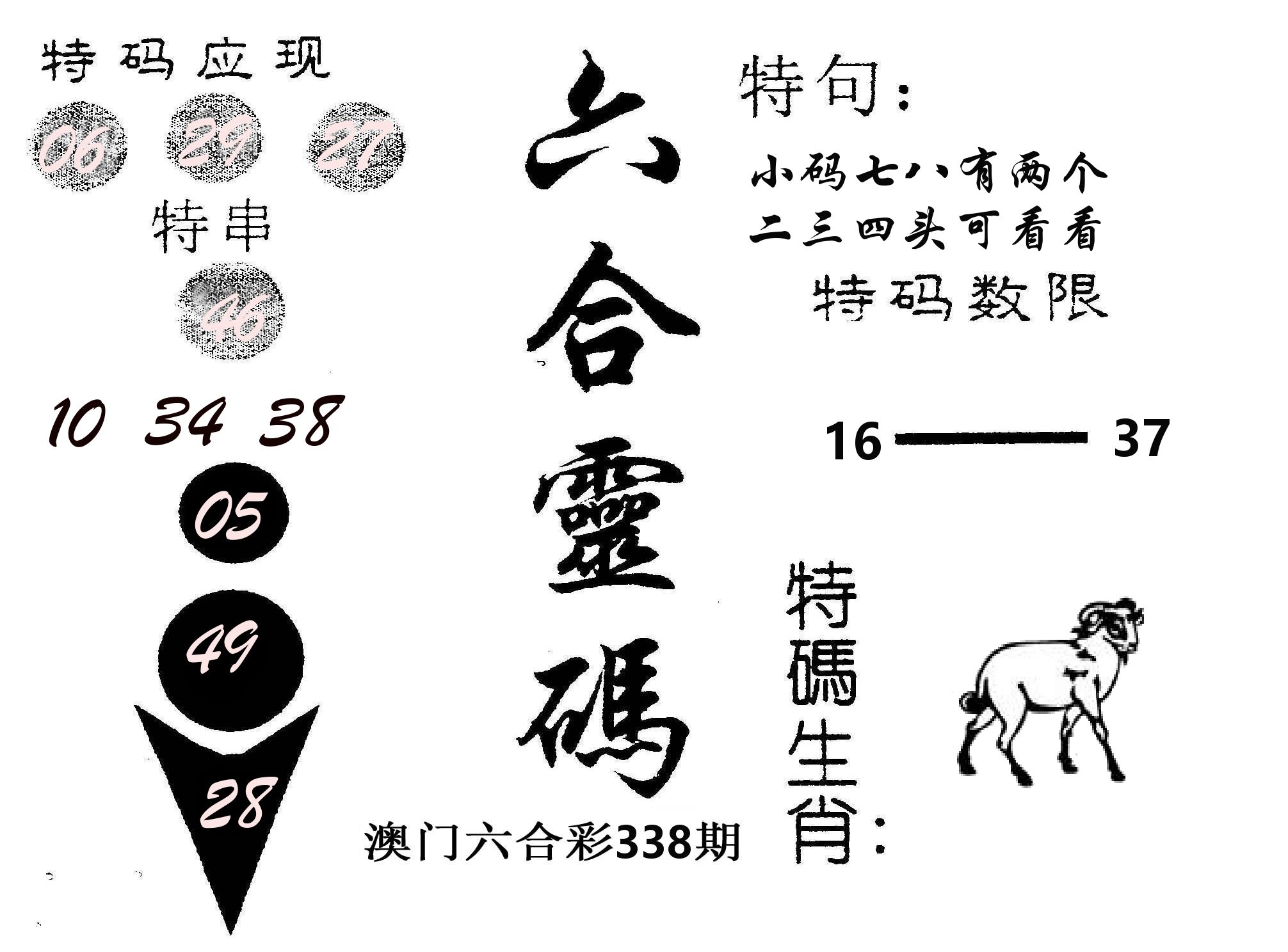 六合灵码 第338期