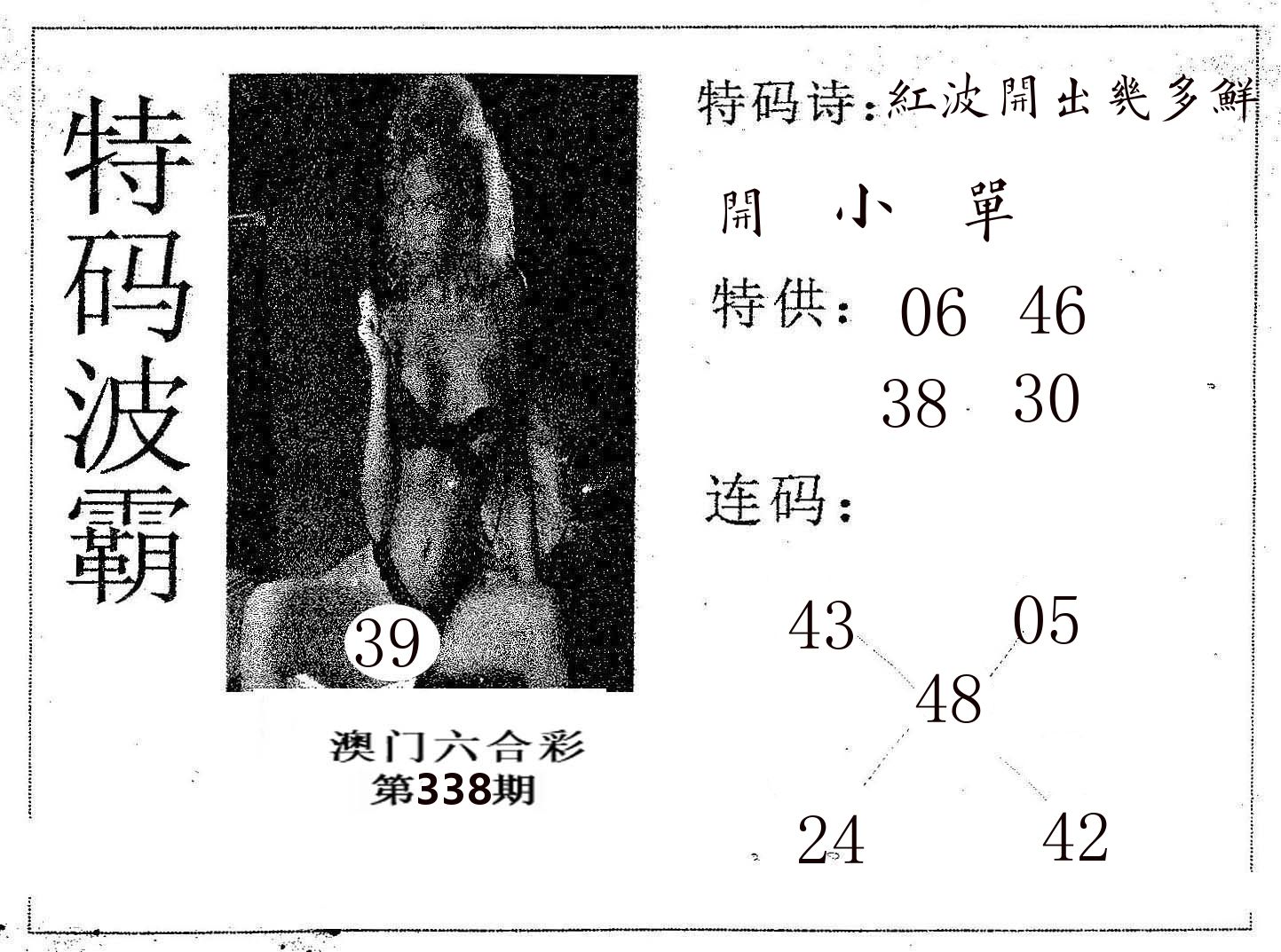 特码波霸 第338期