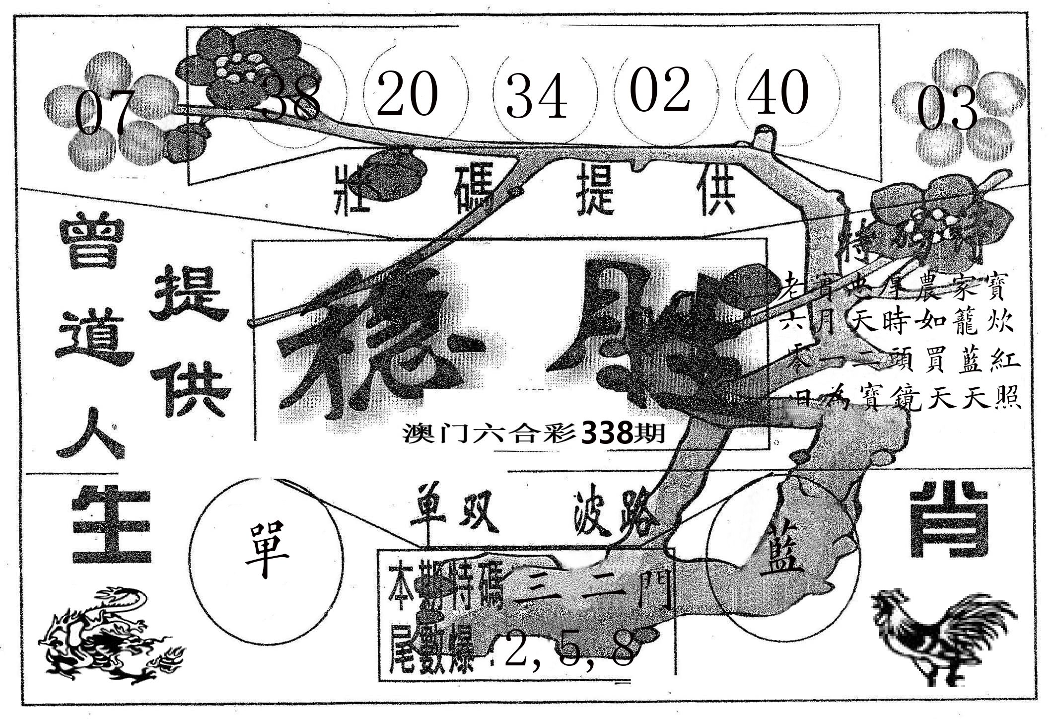 稳胜 第338期