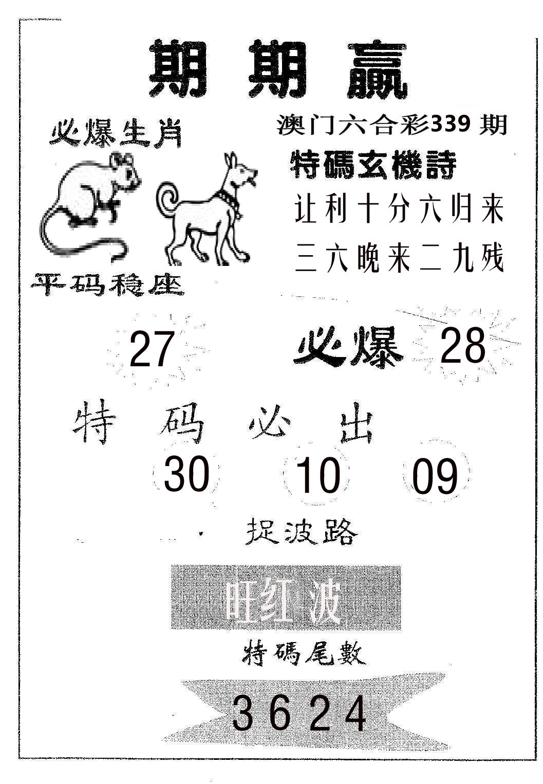 期期赢 第339期