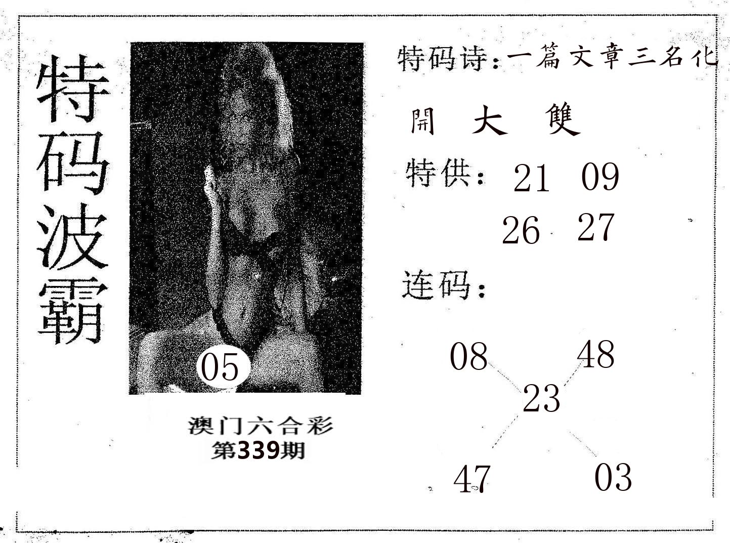 特码波霸 第339期