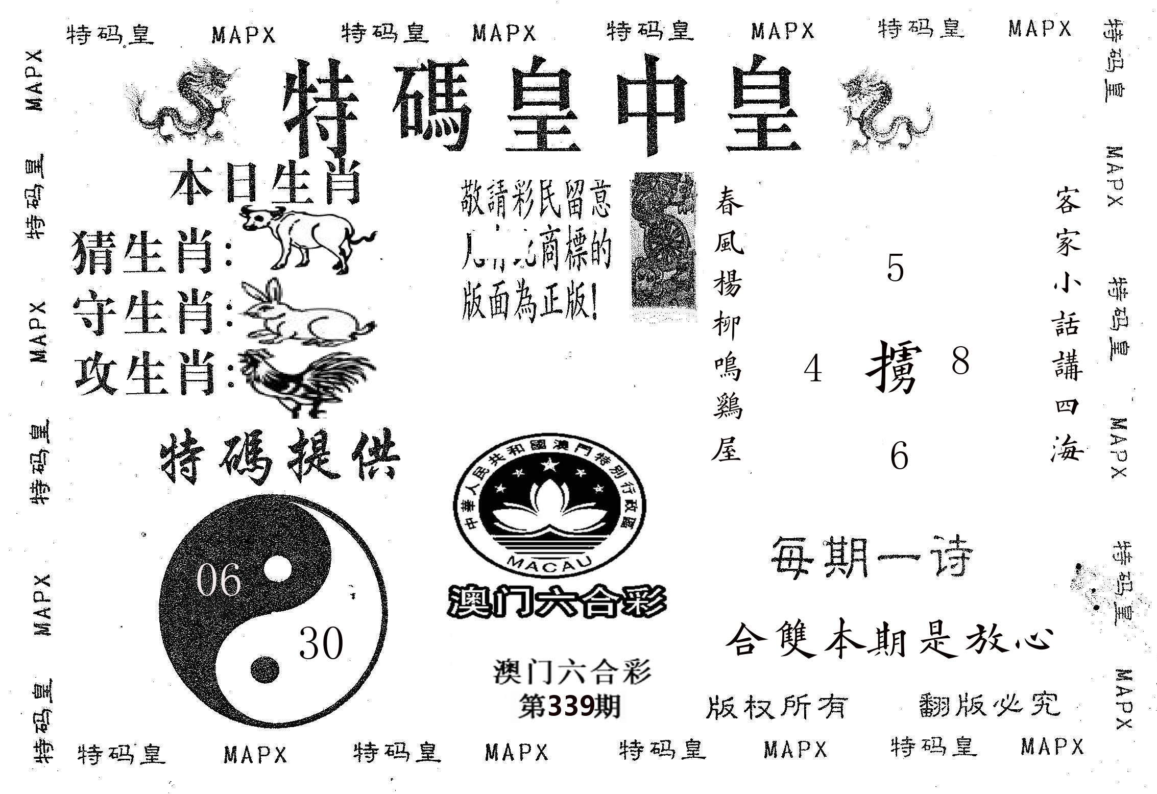 皇中皇B 第339期