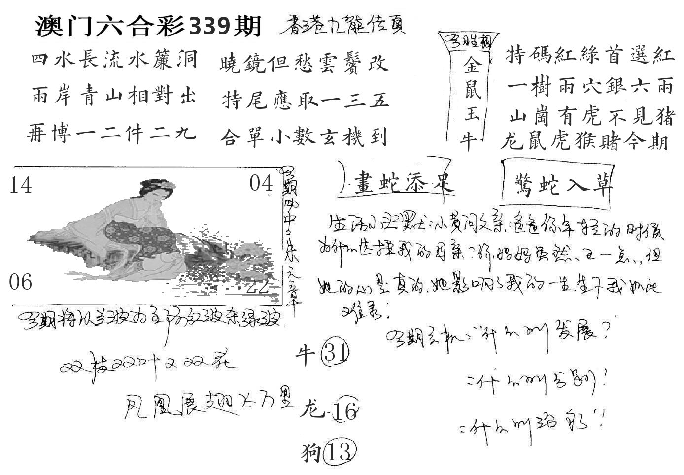 澳门手写九龙 第339期
