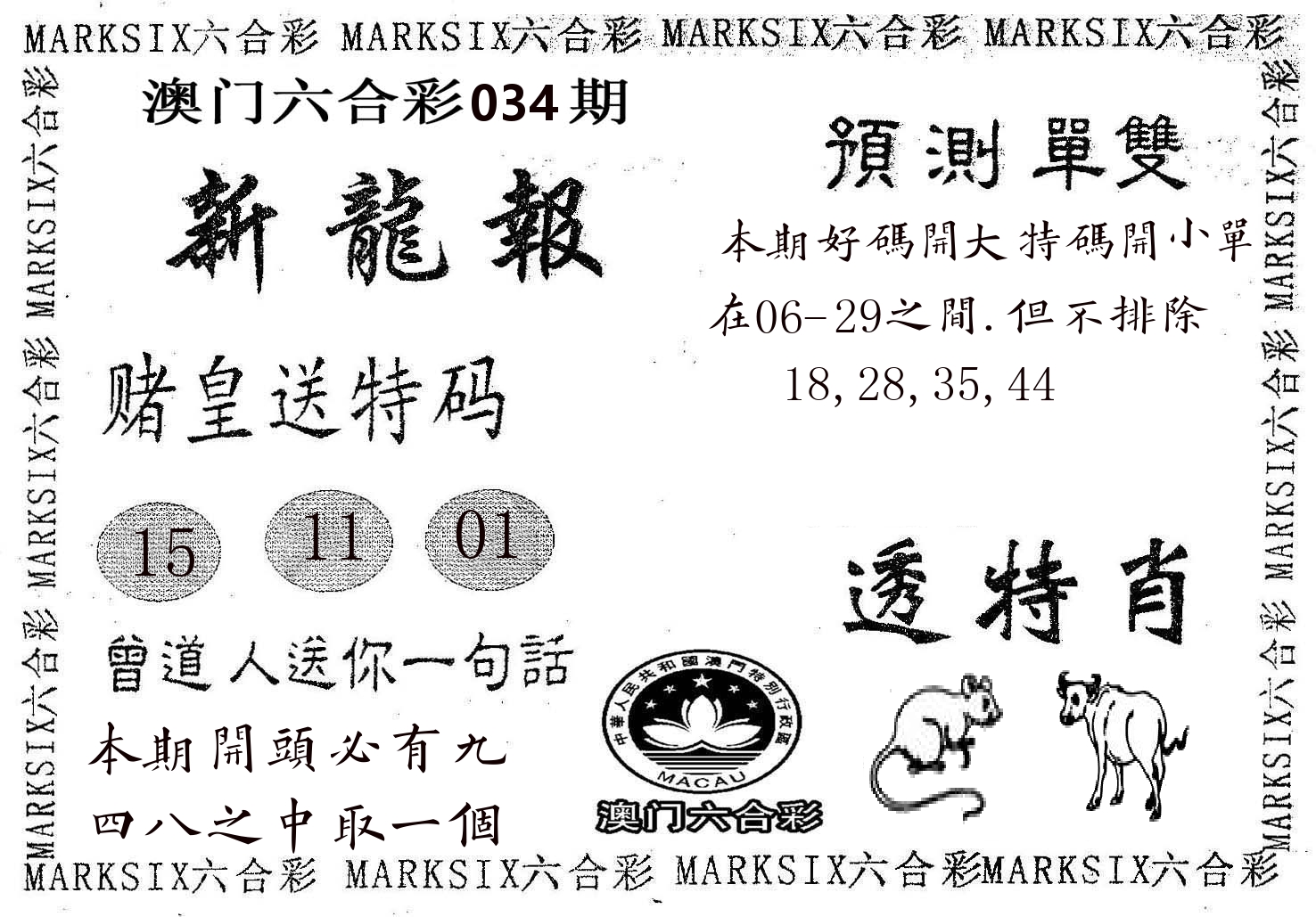新龙报 第34期