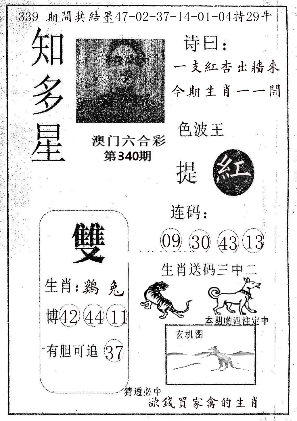知多星 第340期