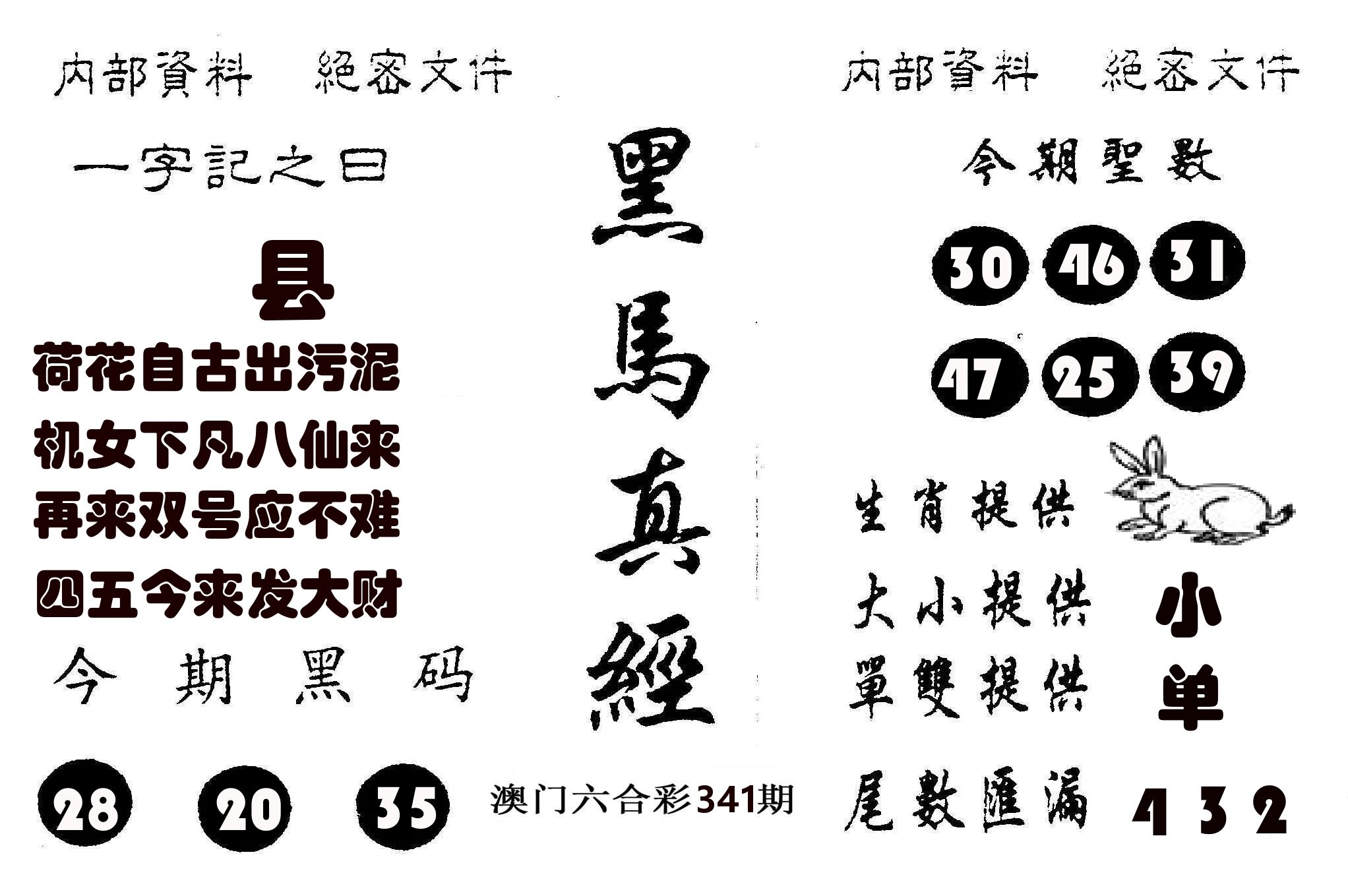 黑马真经 第341期