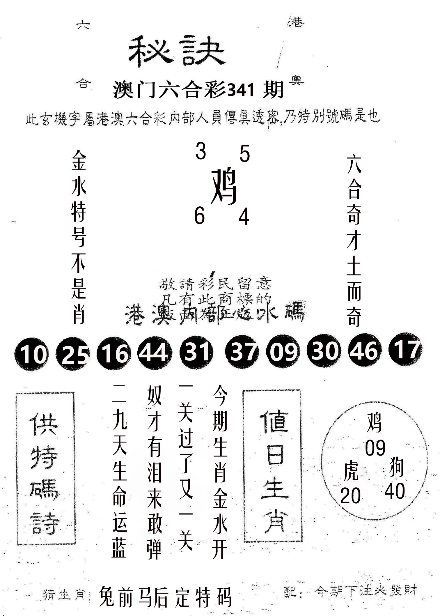秘决 第341期