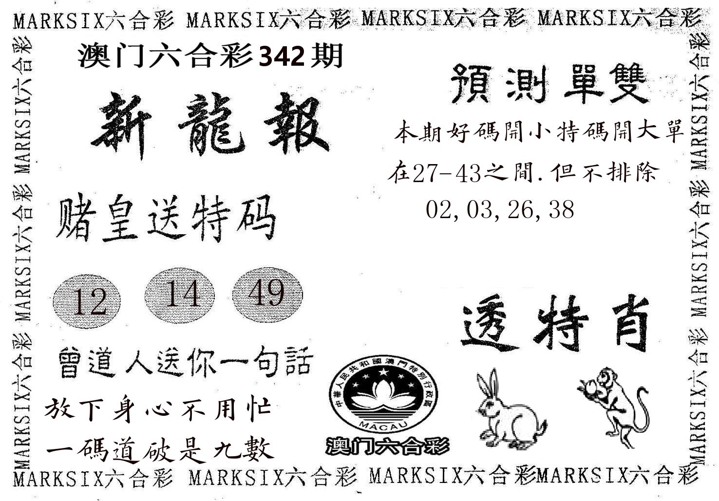 新龙报 第342期