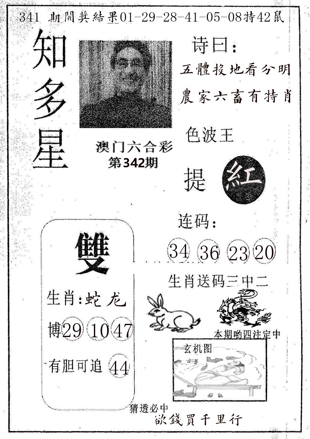 知多星 第342期
