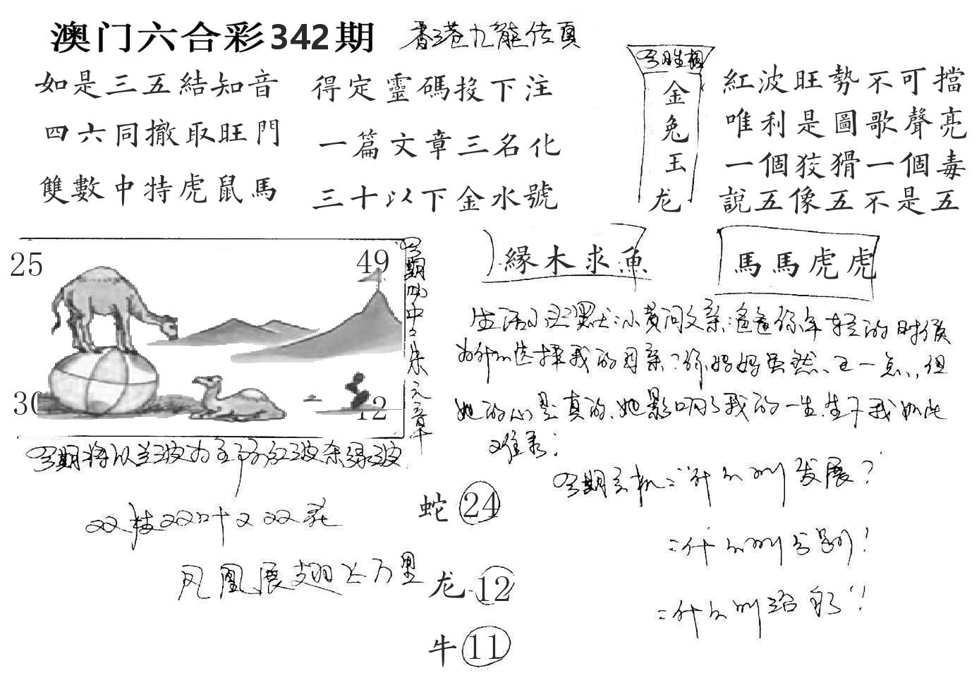澳门手写九龙 第342期