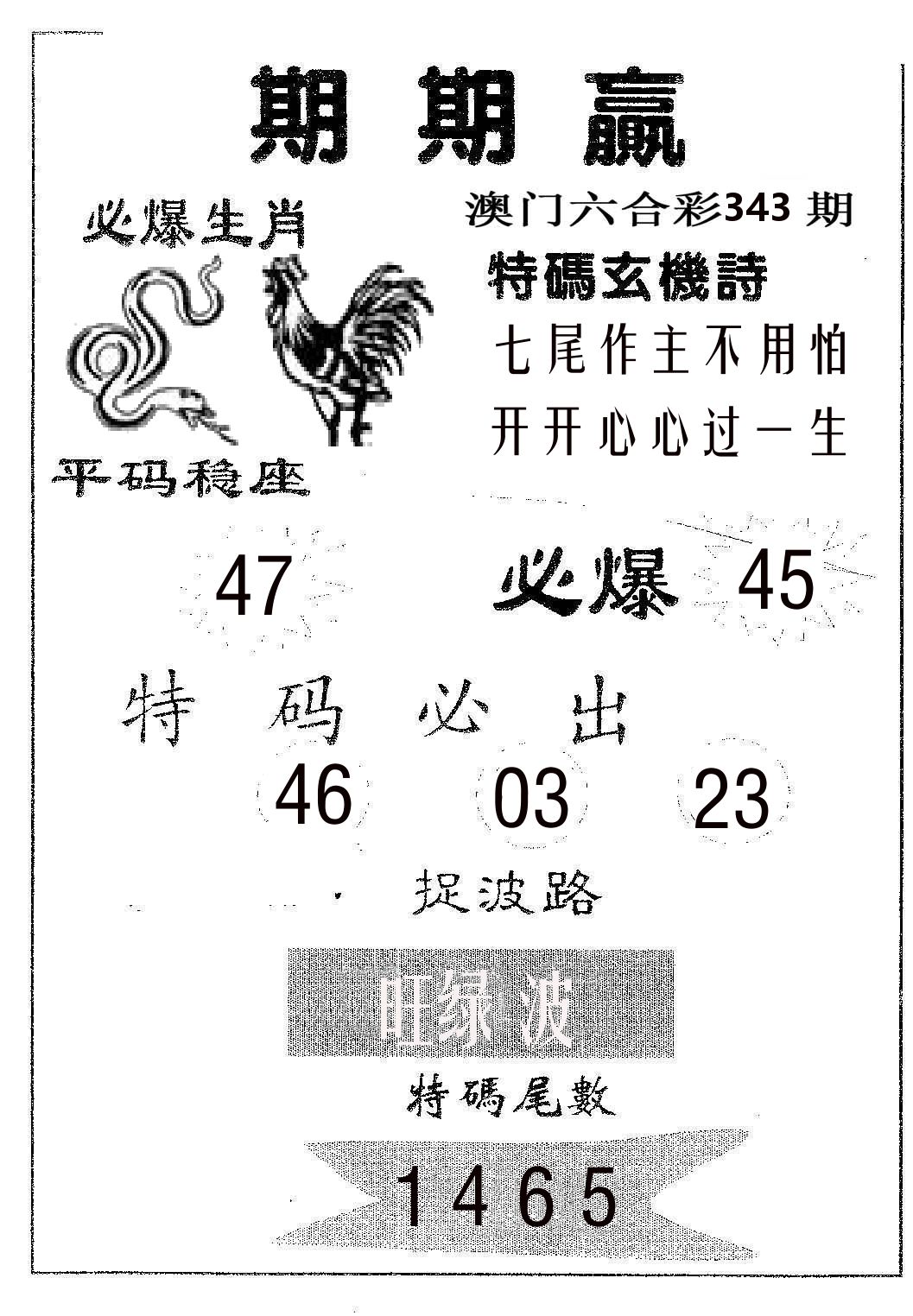 期期赢 第343期