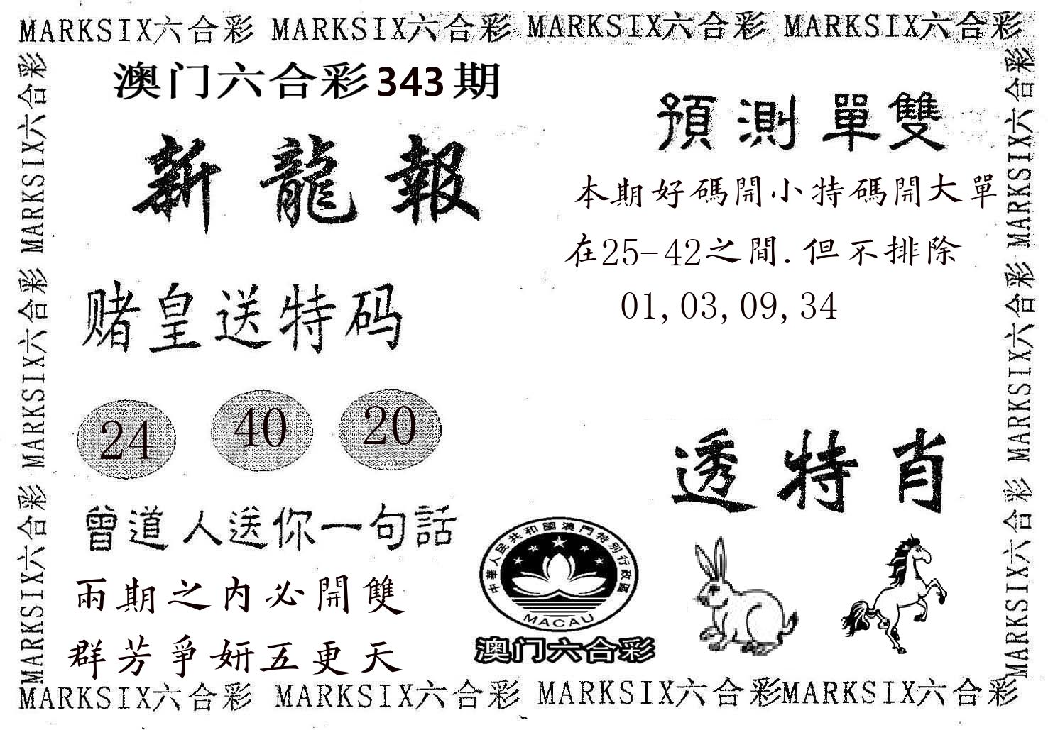 新龙报 第343期